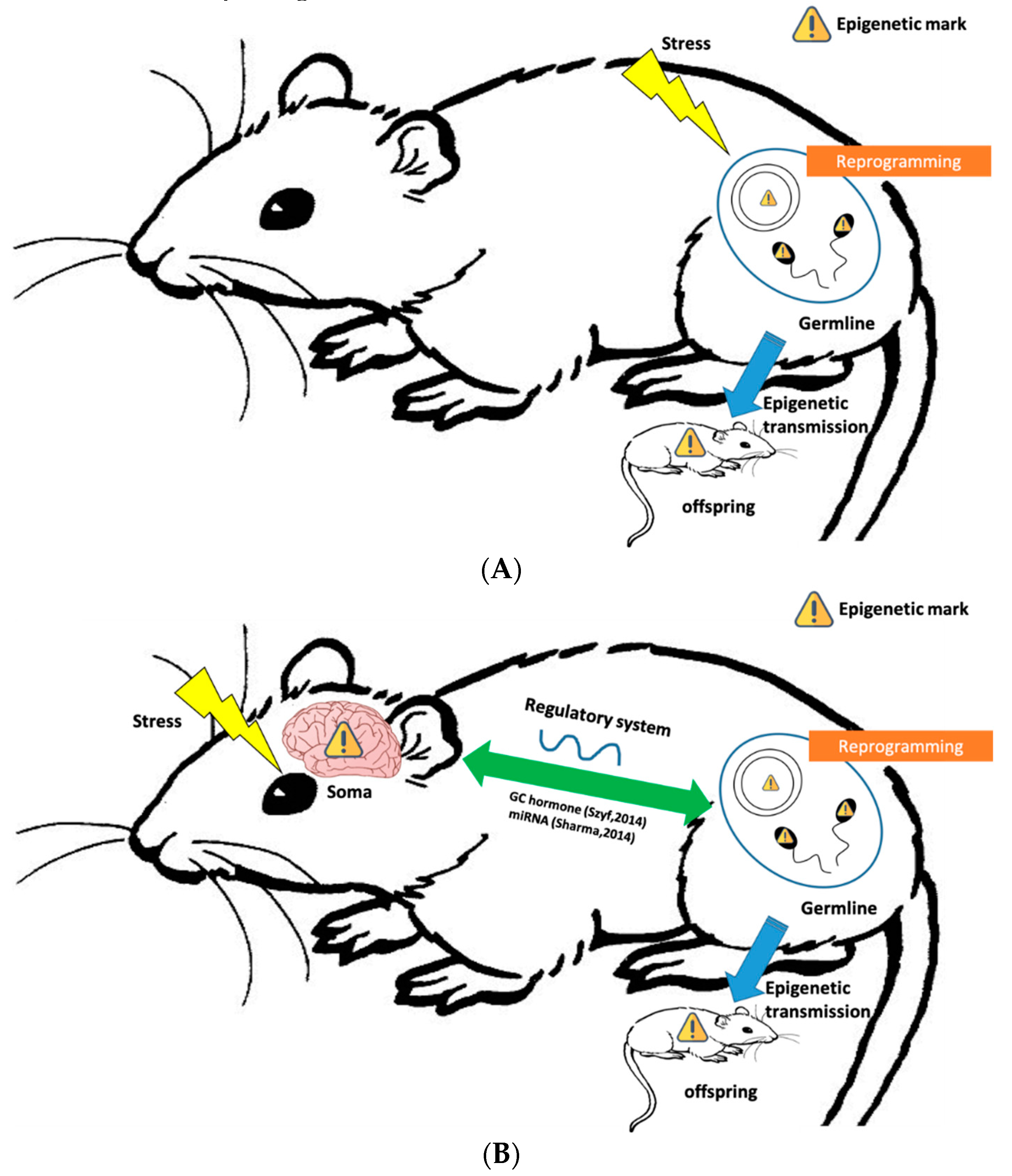 Epigenomes 03 00018 g001