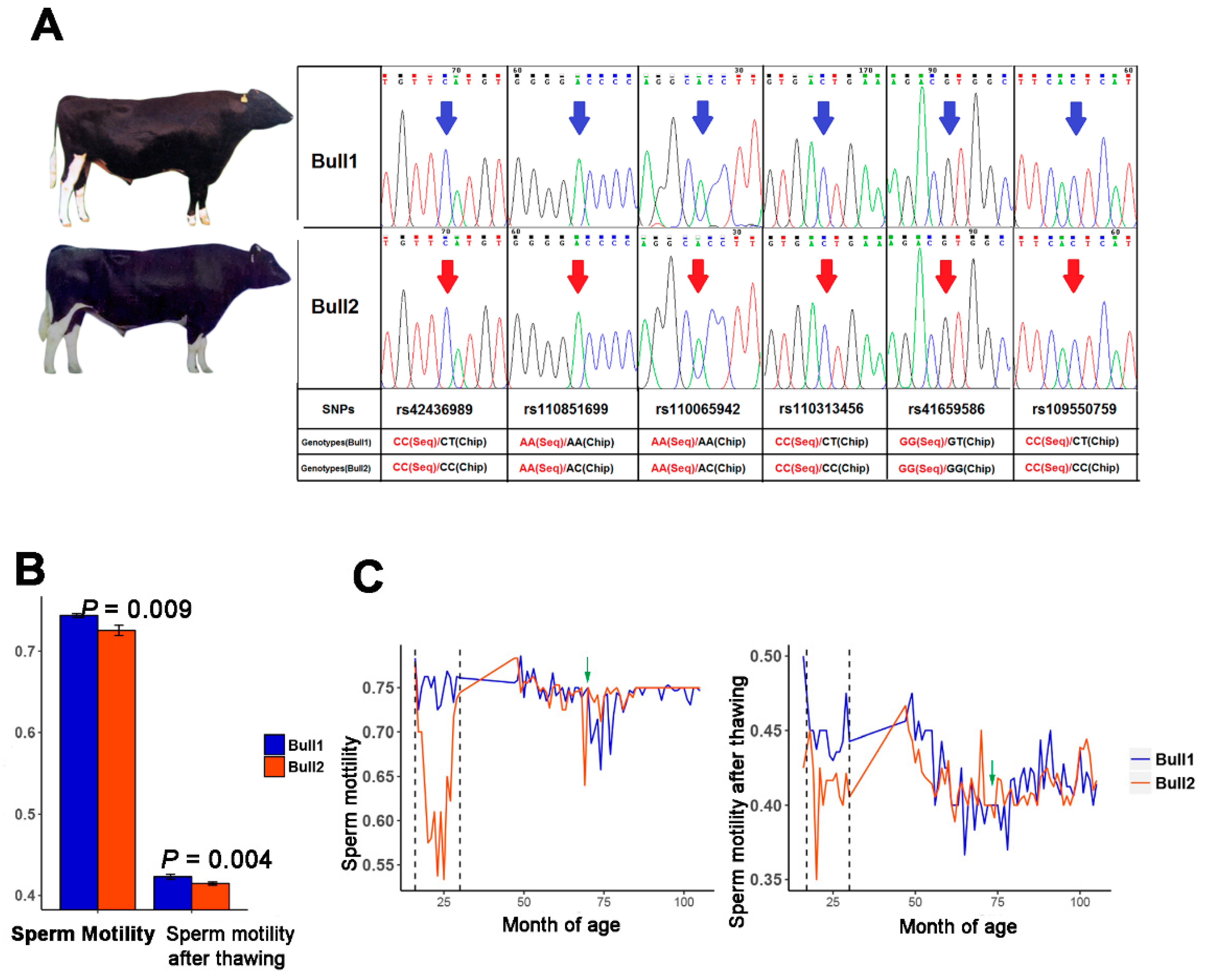 Epigenomes 03 00021 g001