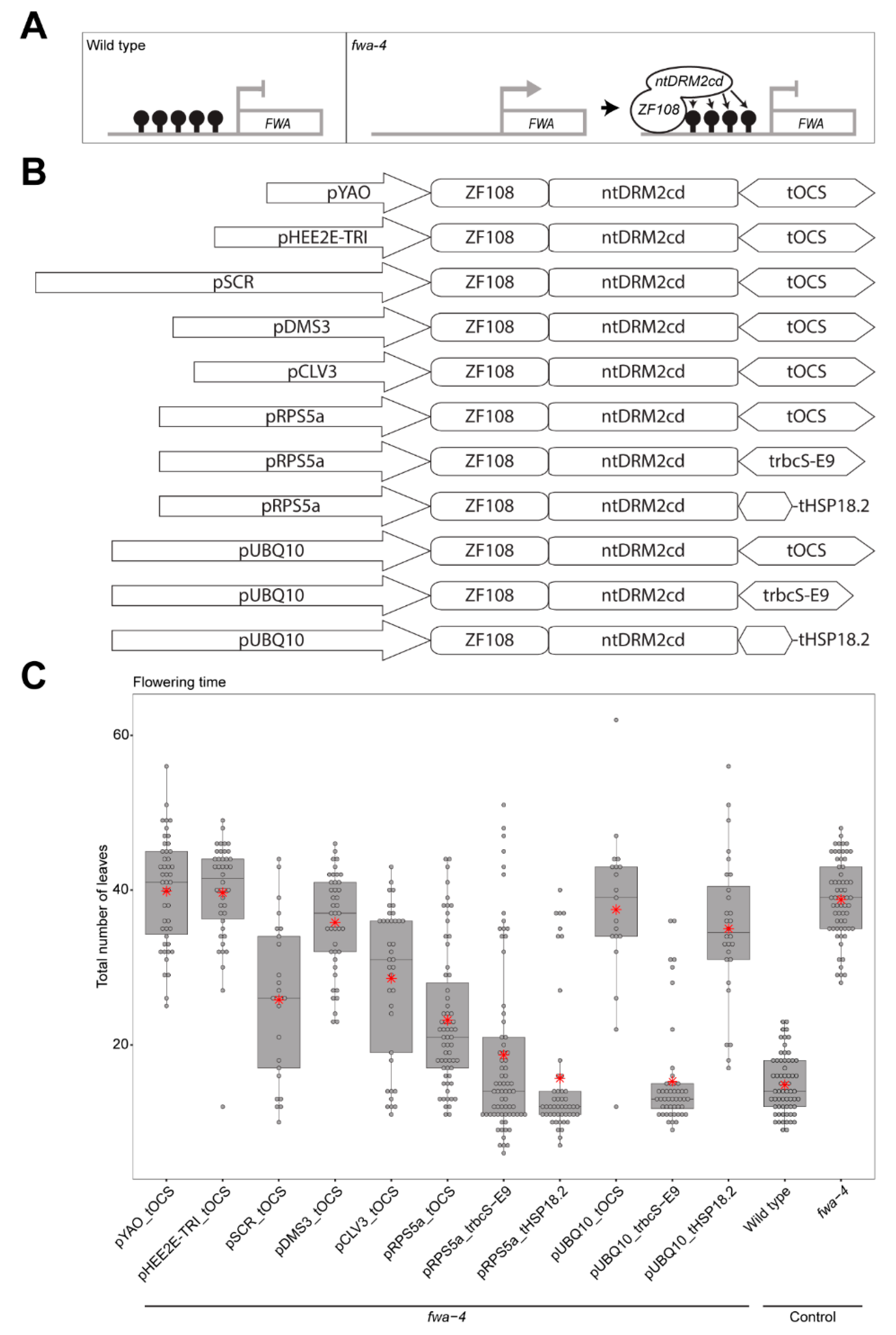 Epigenomes 04 00009 g001 Epigenomes 04 00009 g001