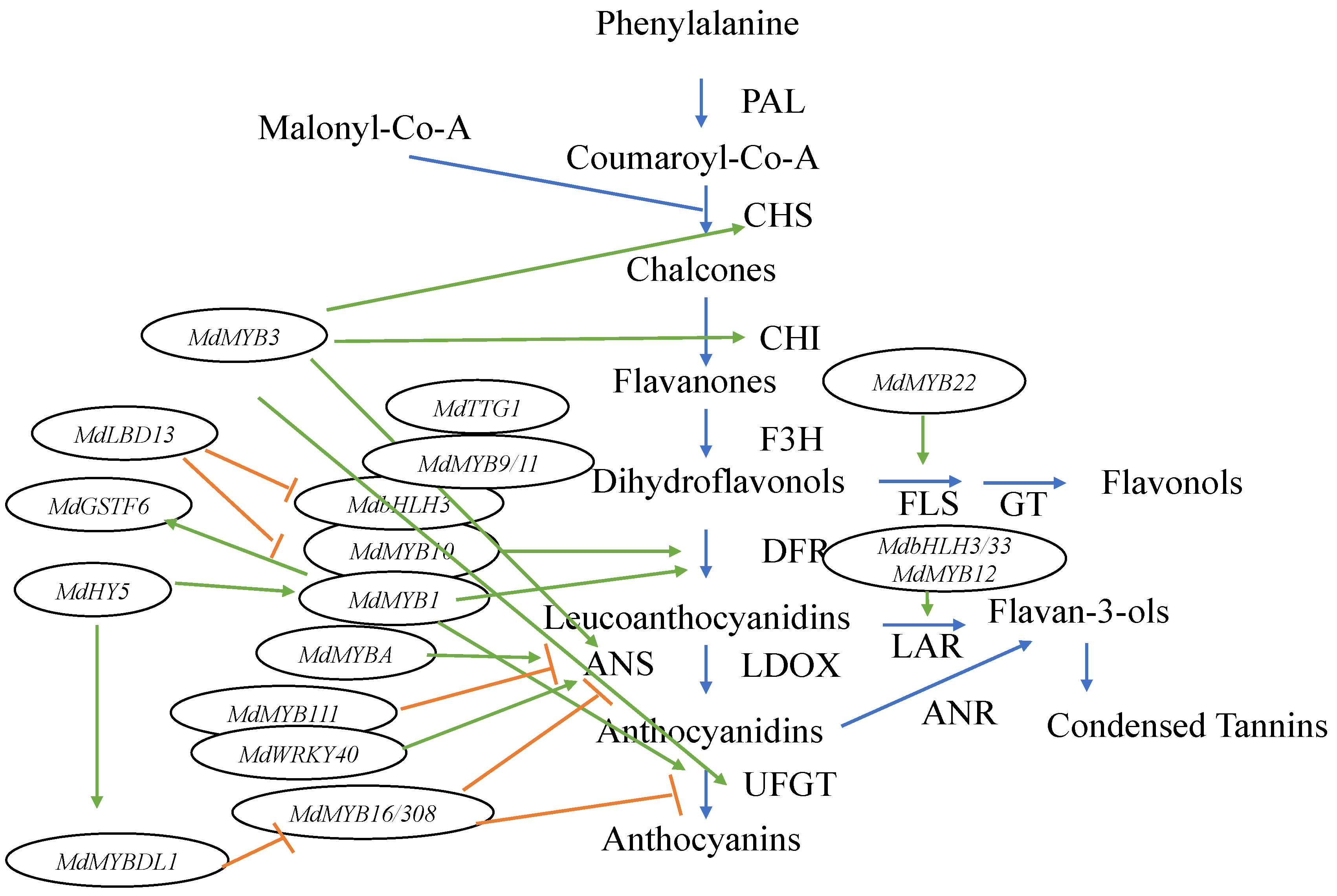 Epigenomes 04 00013 g002