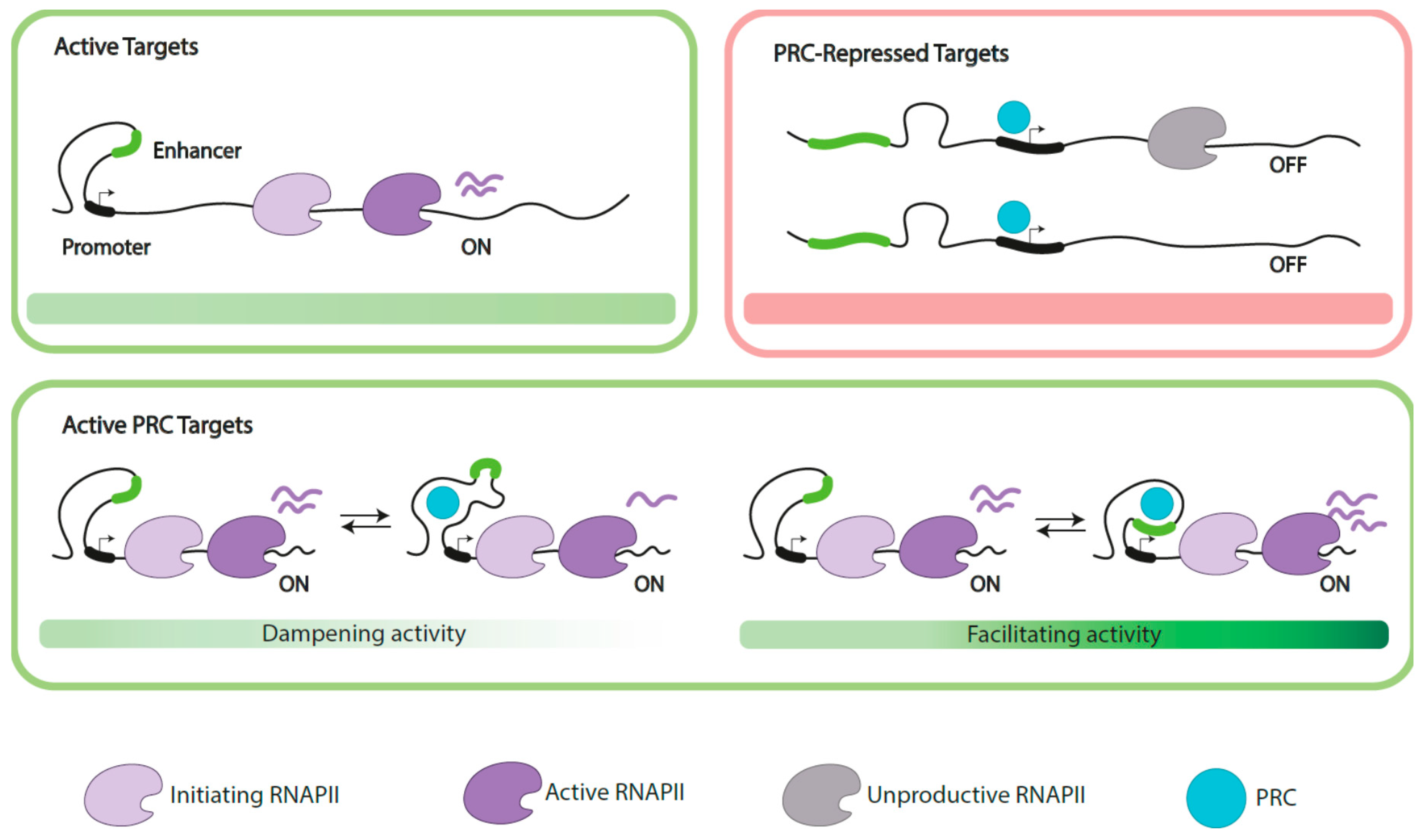 Epigenomes 04 00017 g004