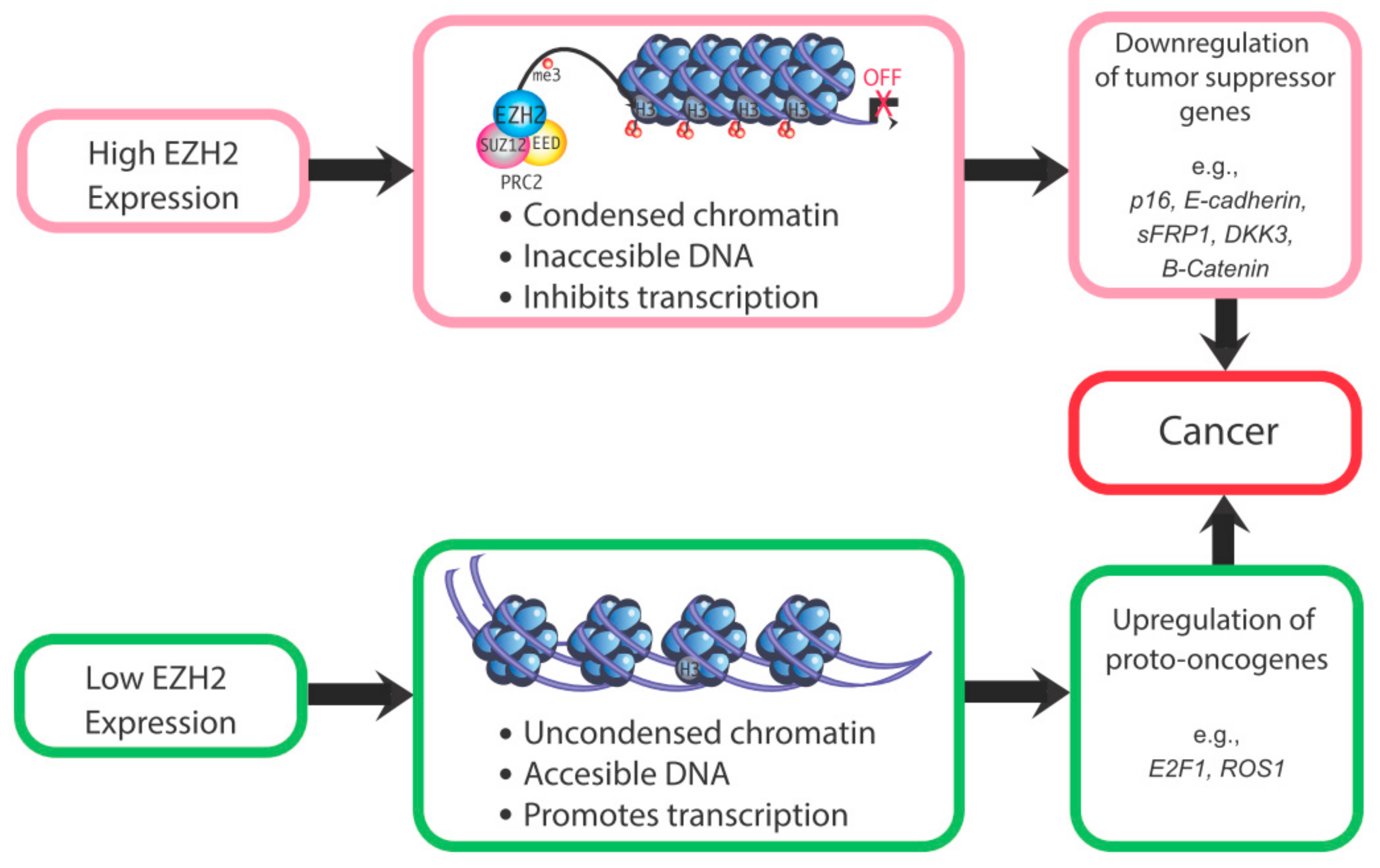 Epigenomes 04 00020 g003