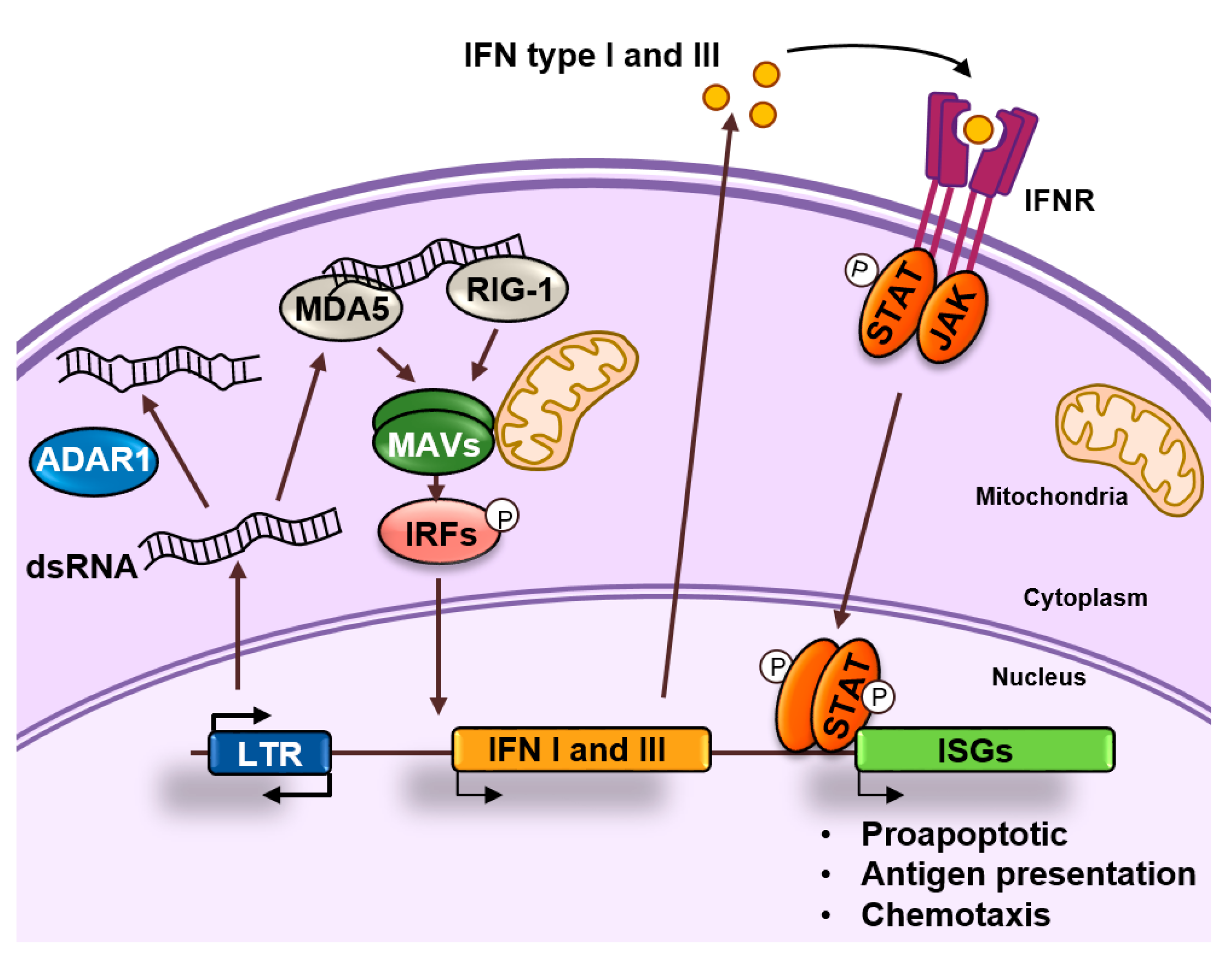 Epigenomes 04 00022 g004