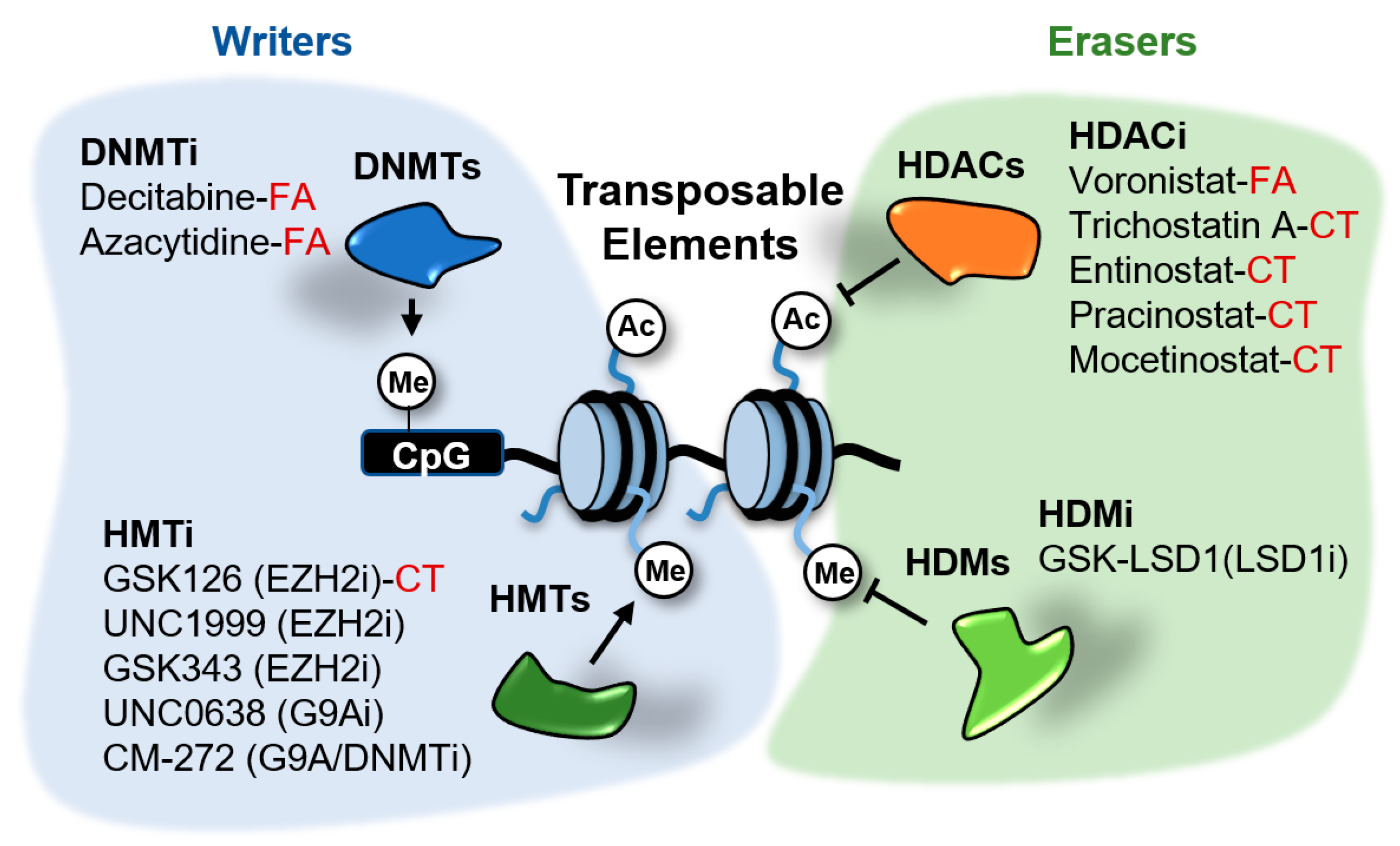 Epigenomes 04 00022 g005