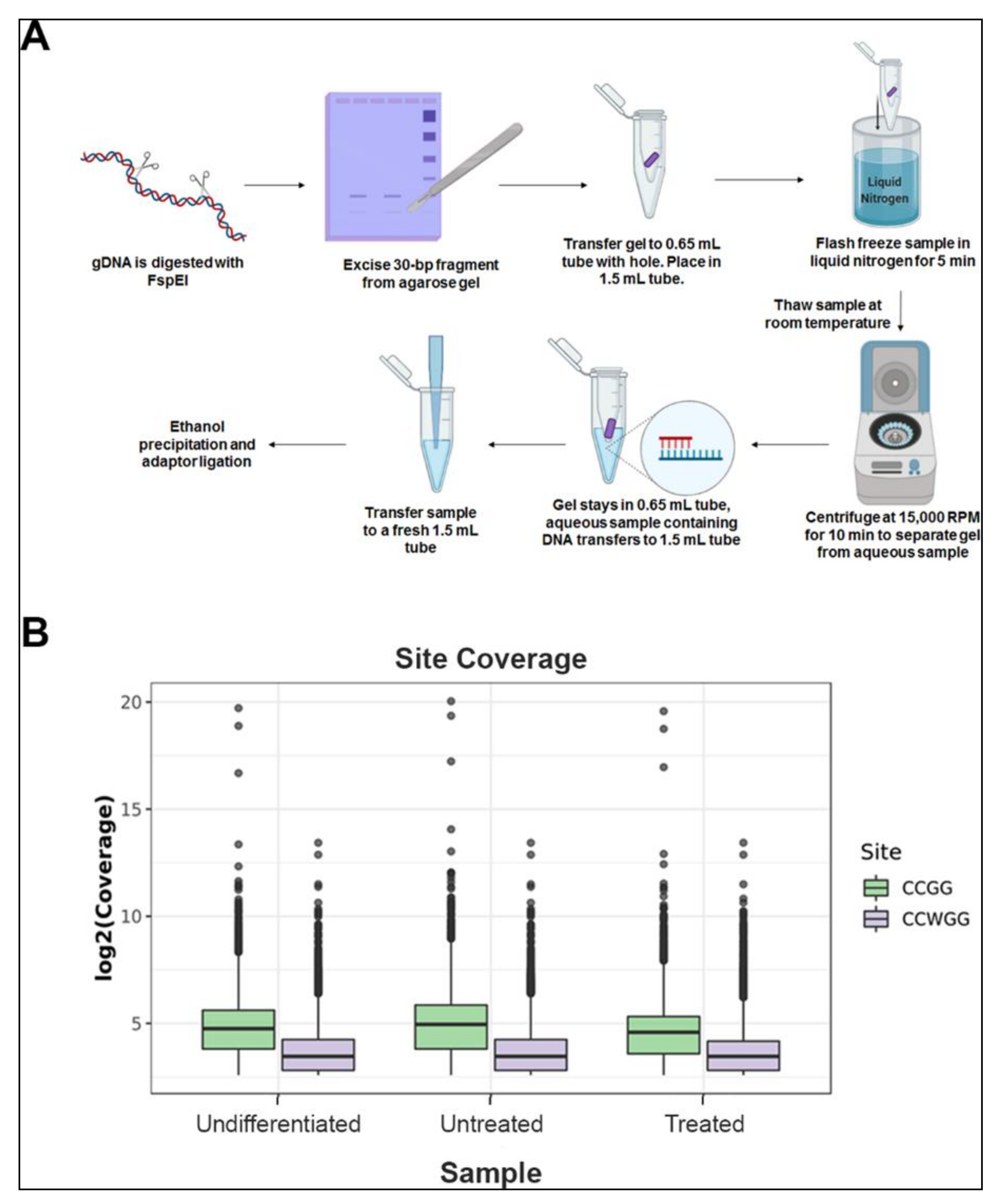 Epigenomes 04 00024 g001