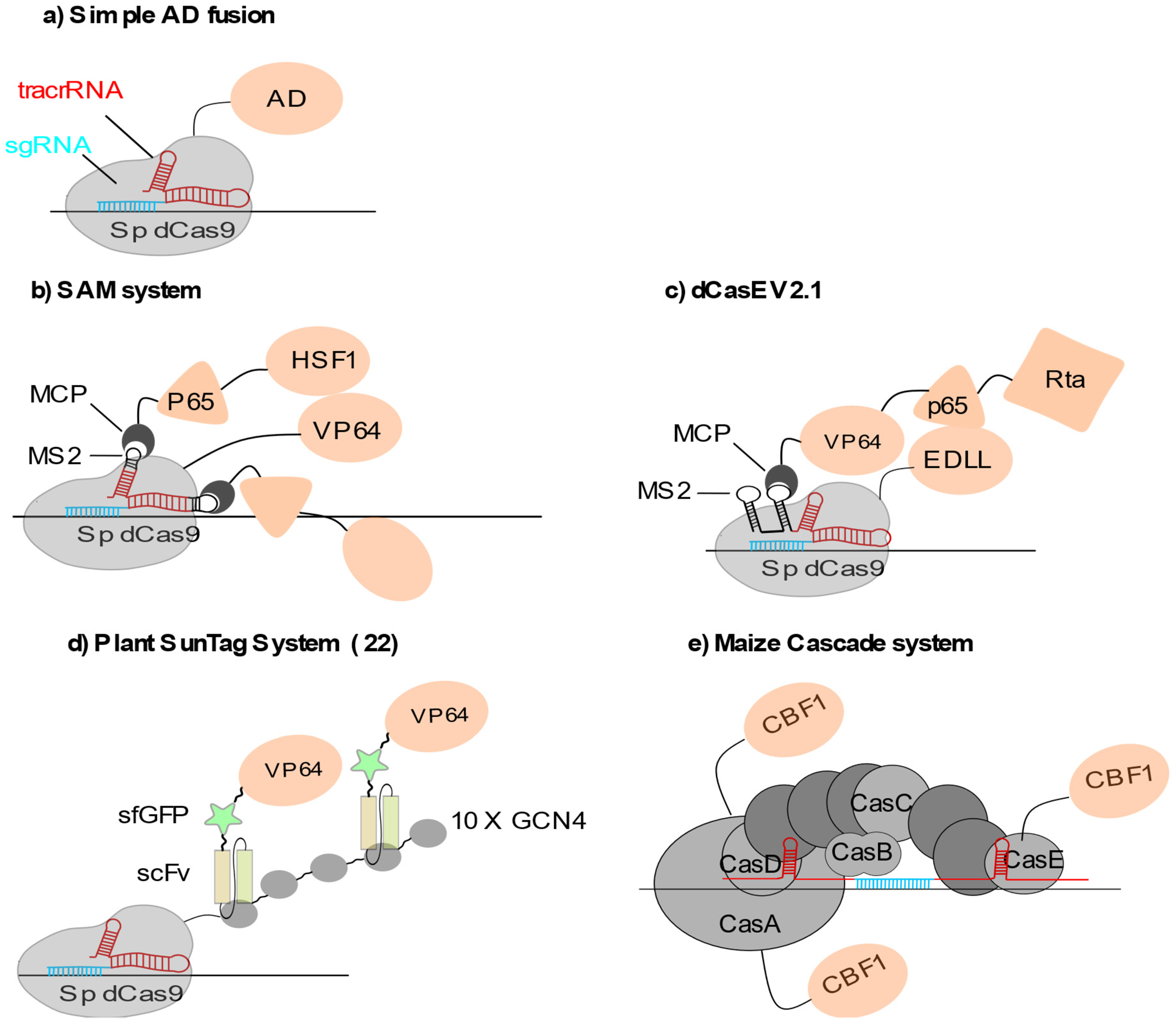Epigenomes 05 00017 g001 550