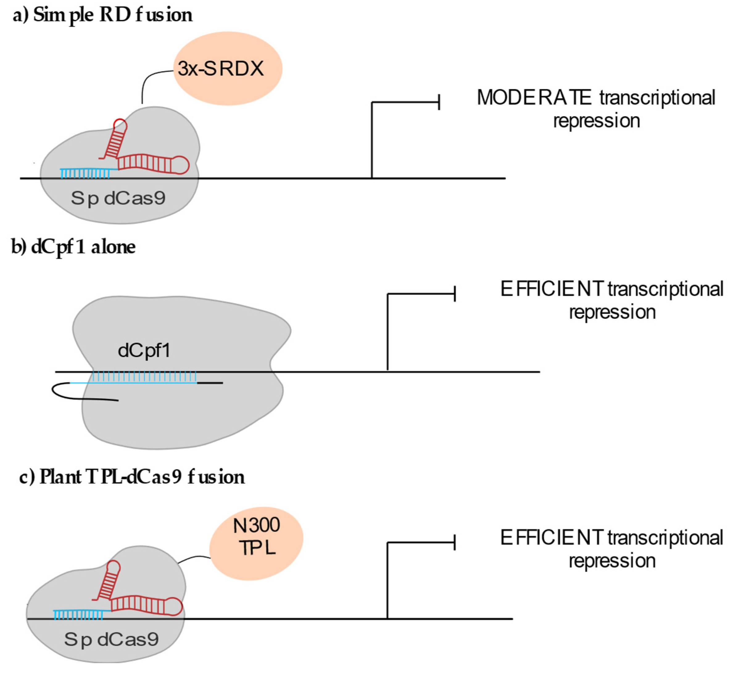 Epigenomes 05 00017 g002 550
