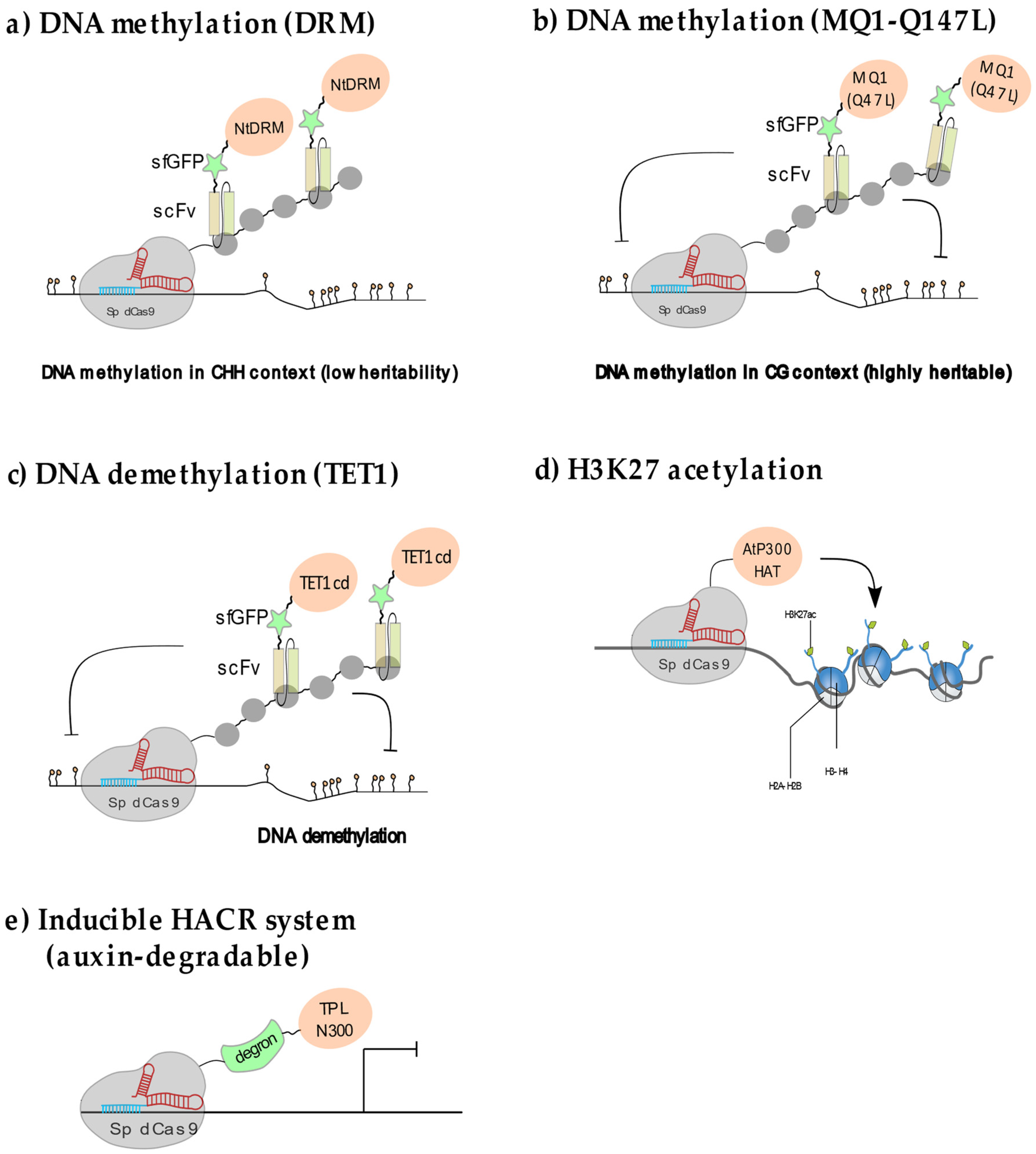 Epigenomes 05 00017 g003 550