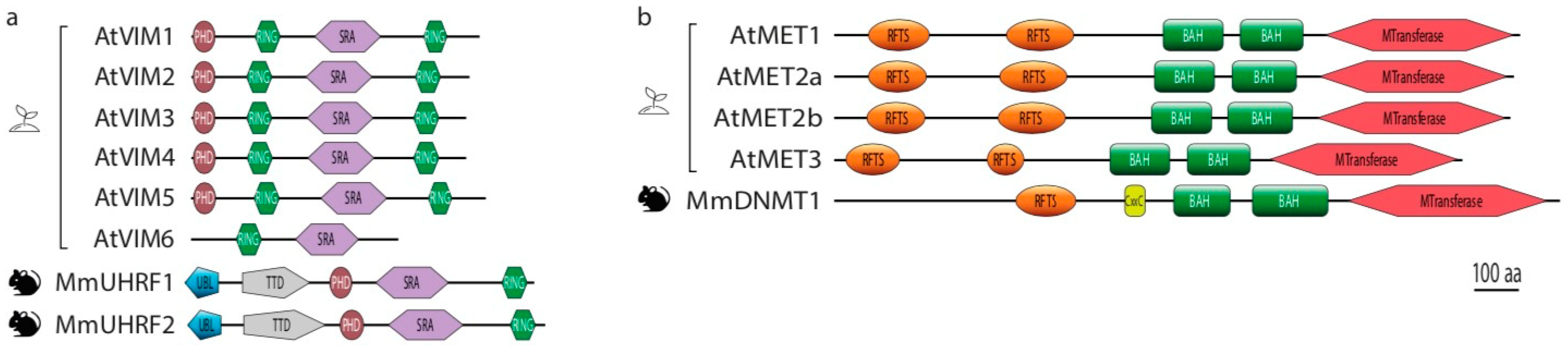 Epigenomes 05 00019 g002