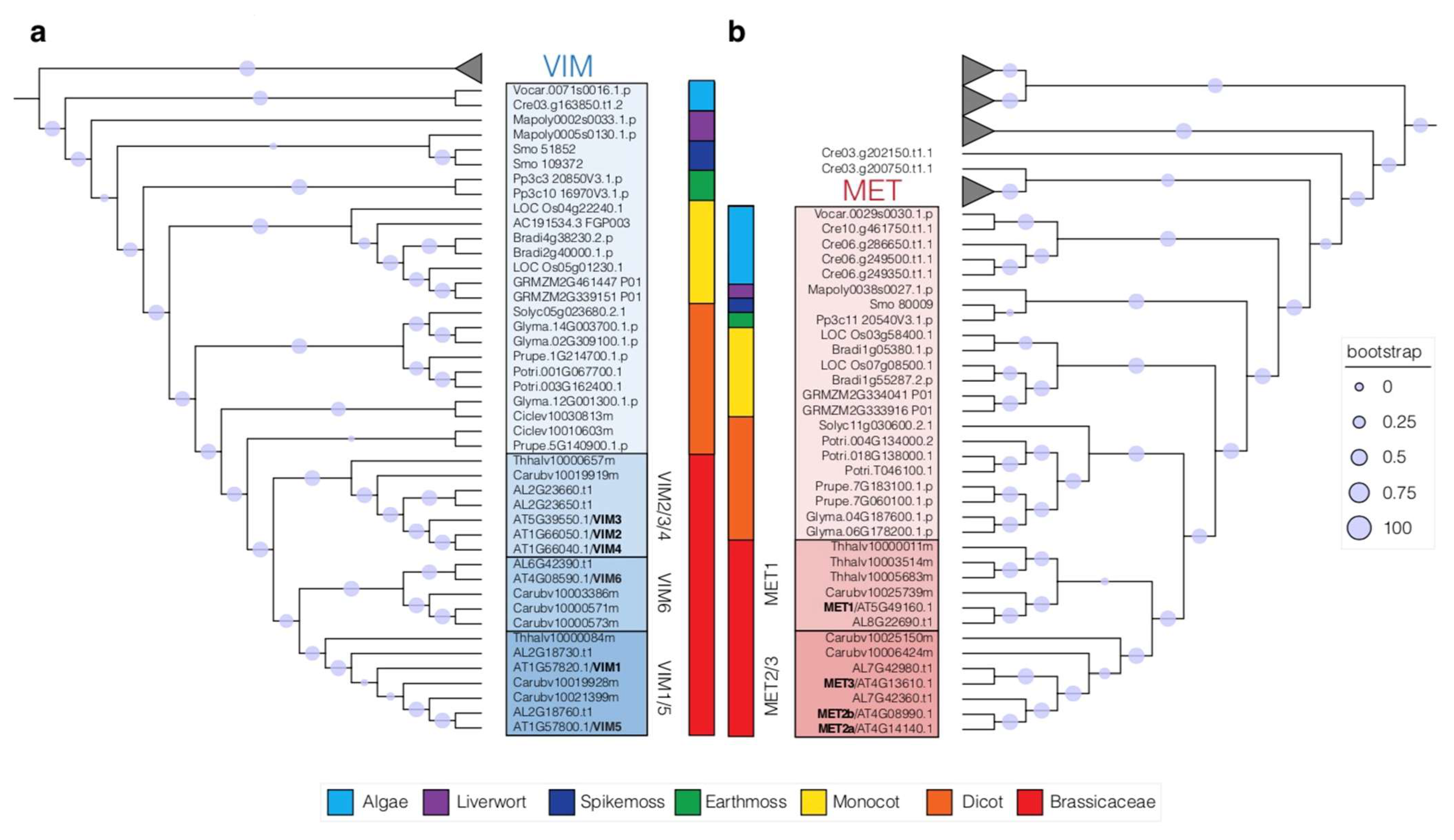 Epigenomes 05 00019 g003