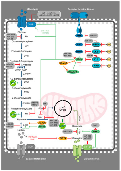 ルール Identification of Whole-Blood DNA Methylation Signatures and