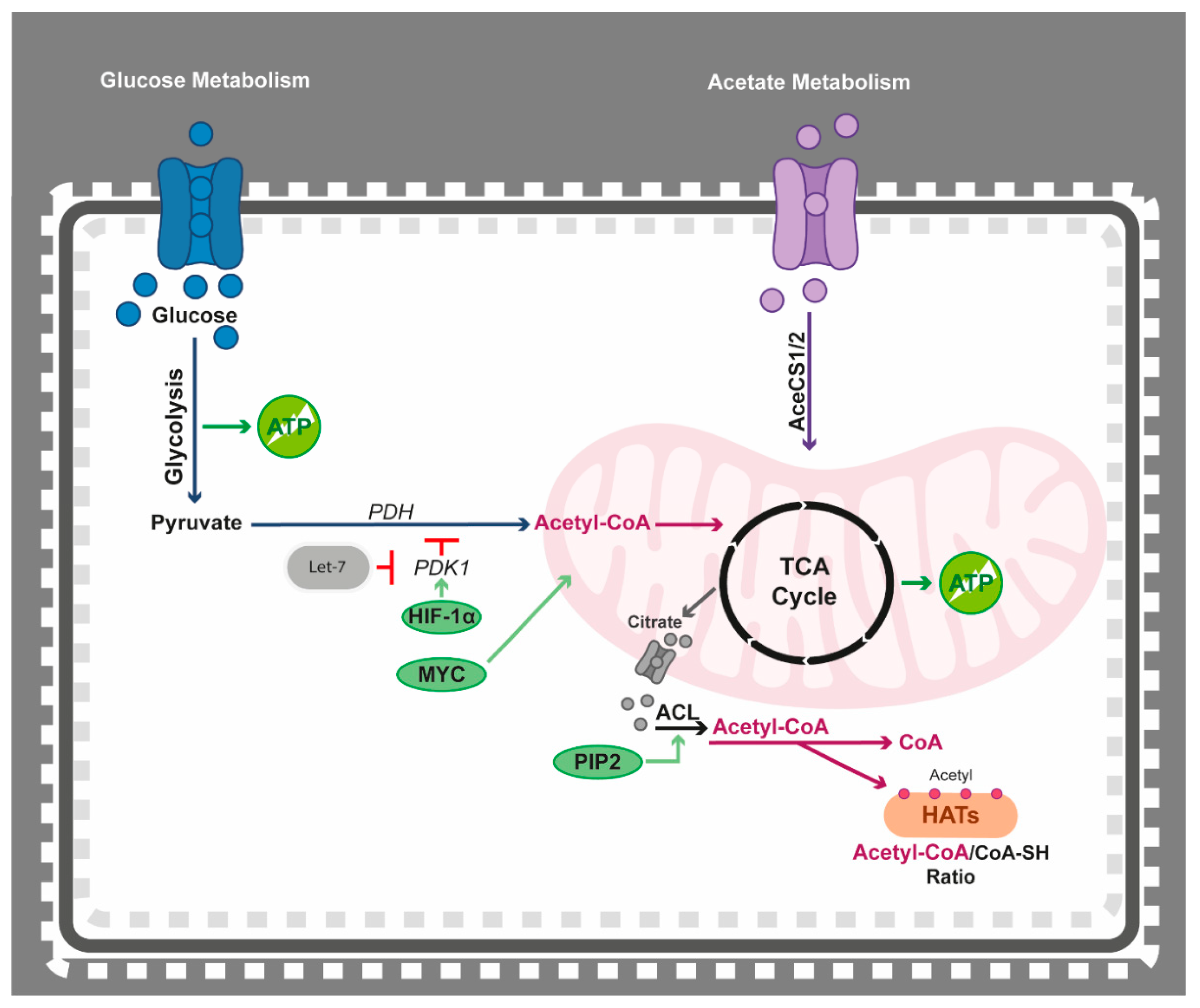 Epigenomes 05 00022 g003