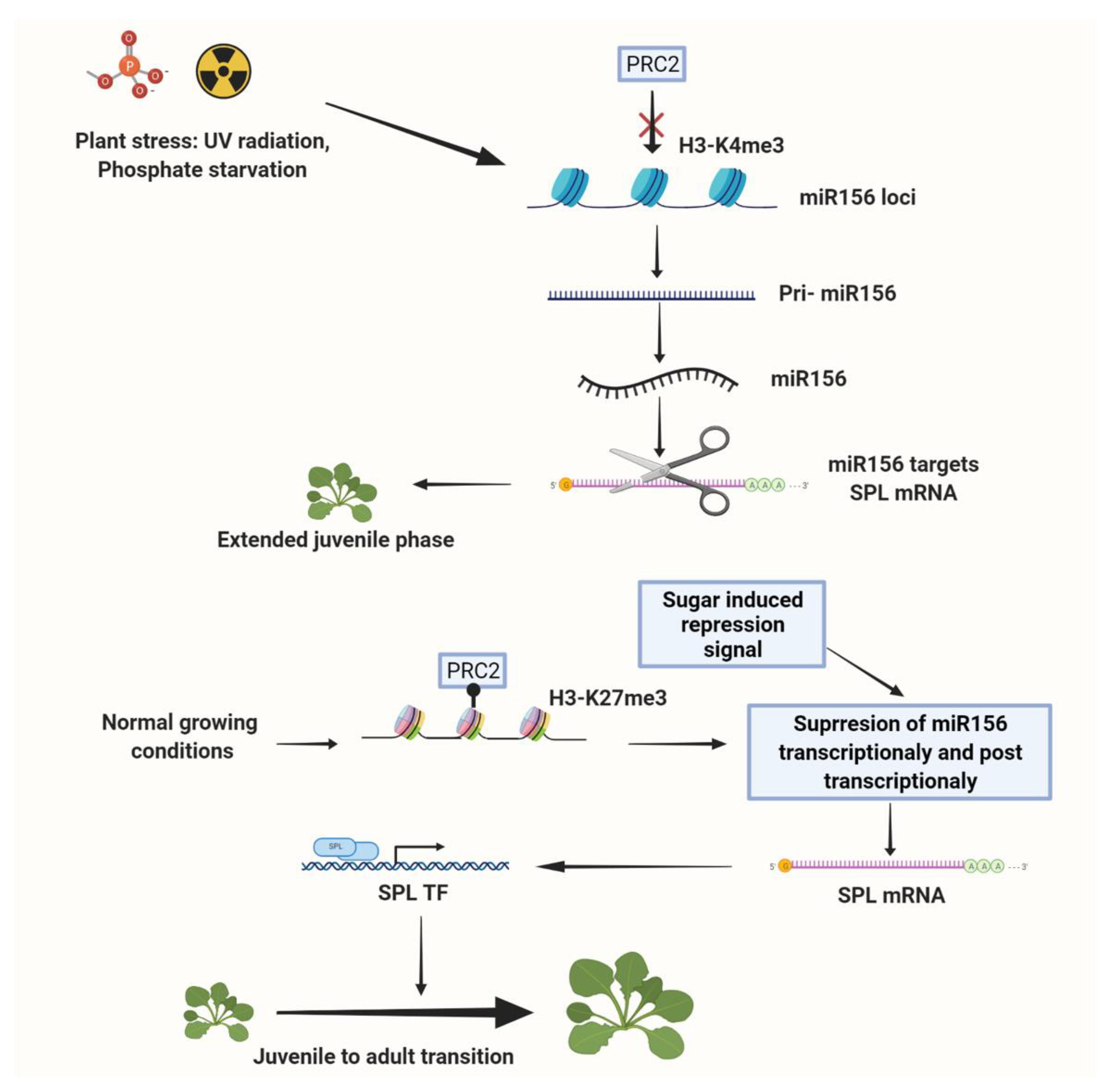 Epigenomes 05 00024 g001 Epigenomes 05 00024 g001