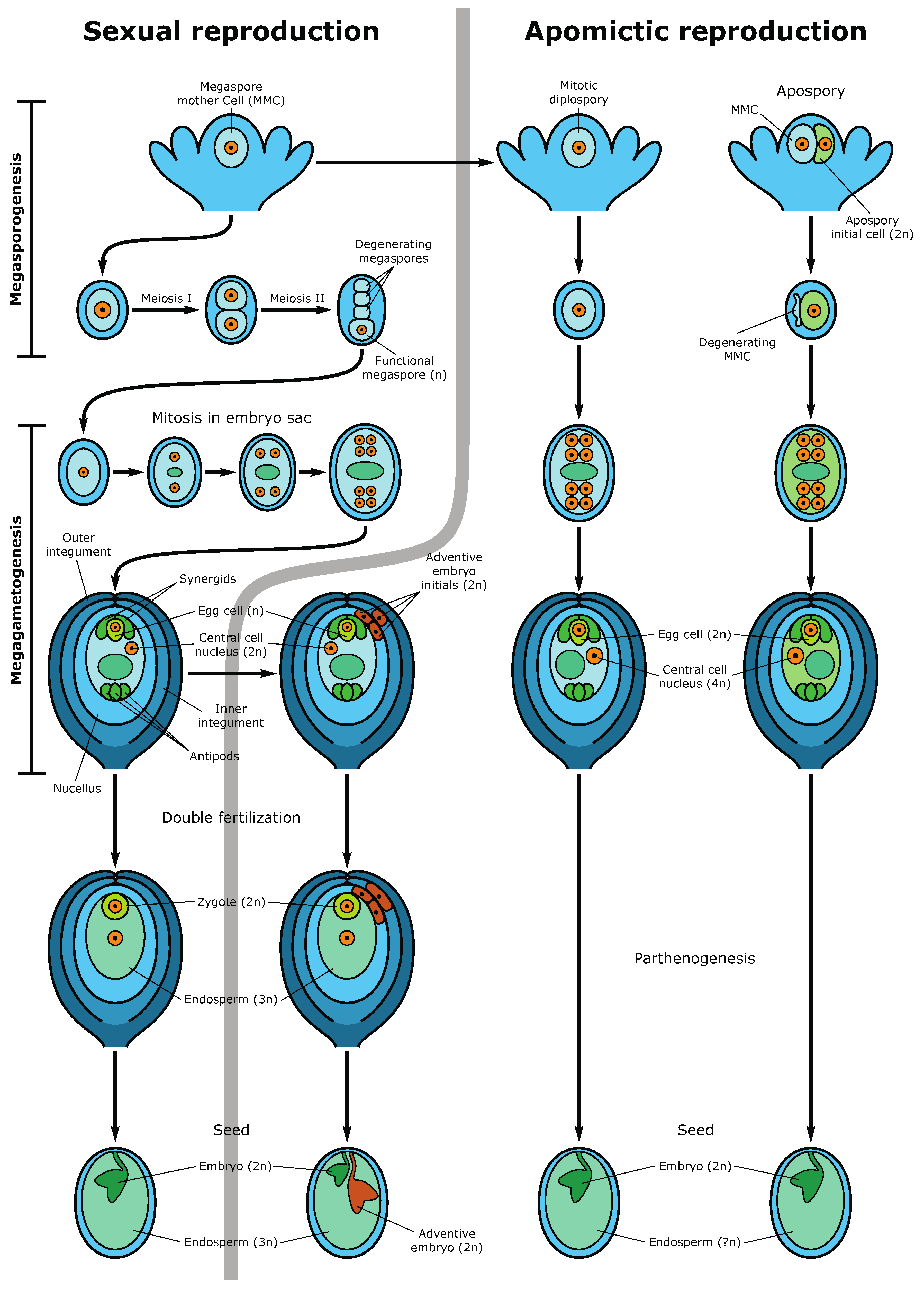 Epigenomes 05 00025 g003