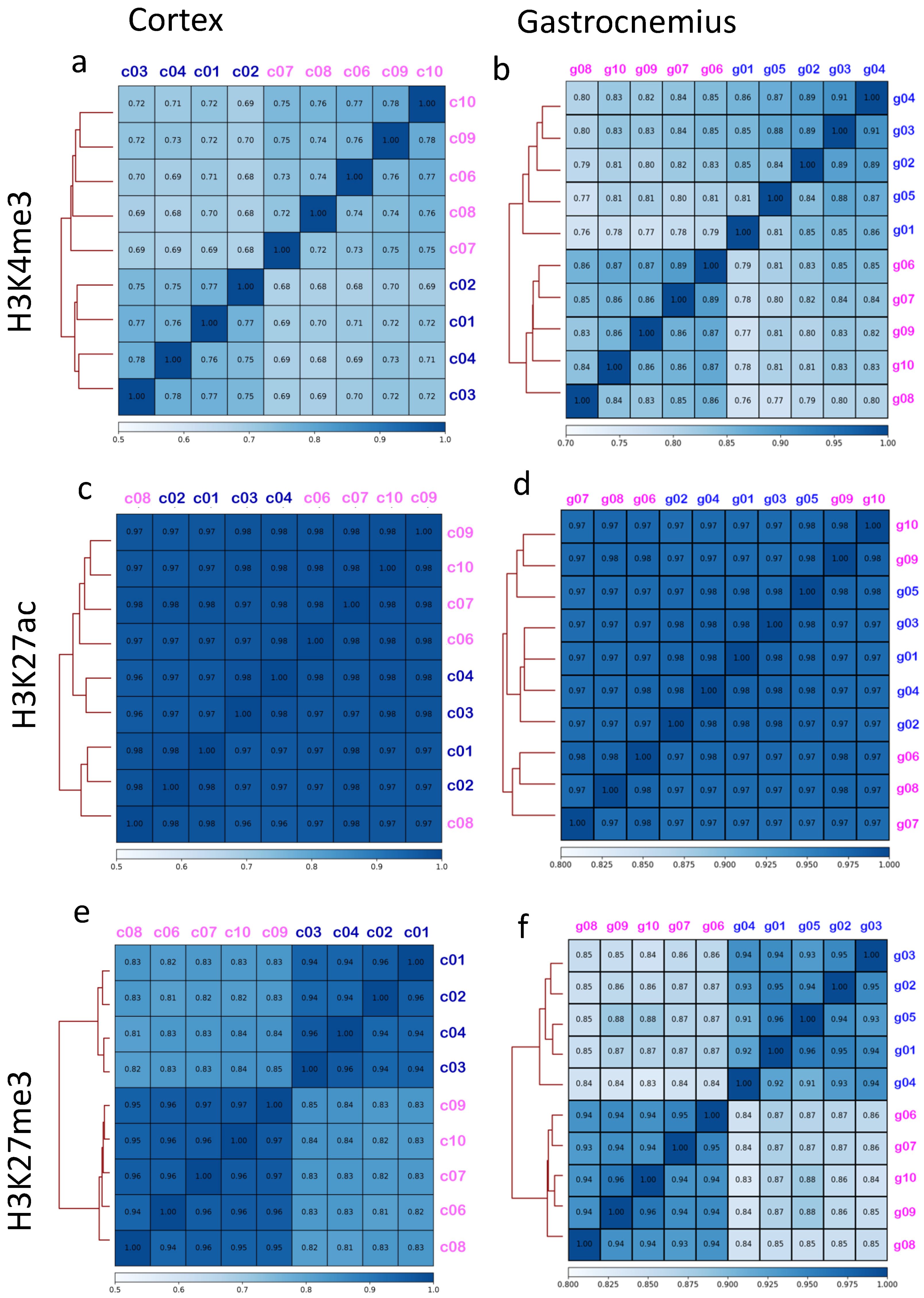 Epigenomes 05 00026 g001