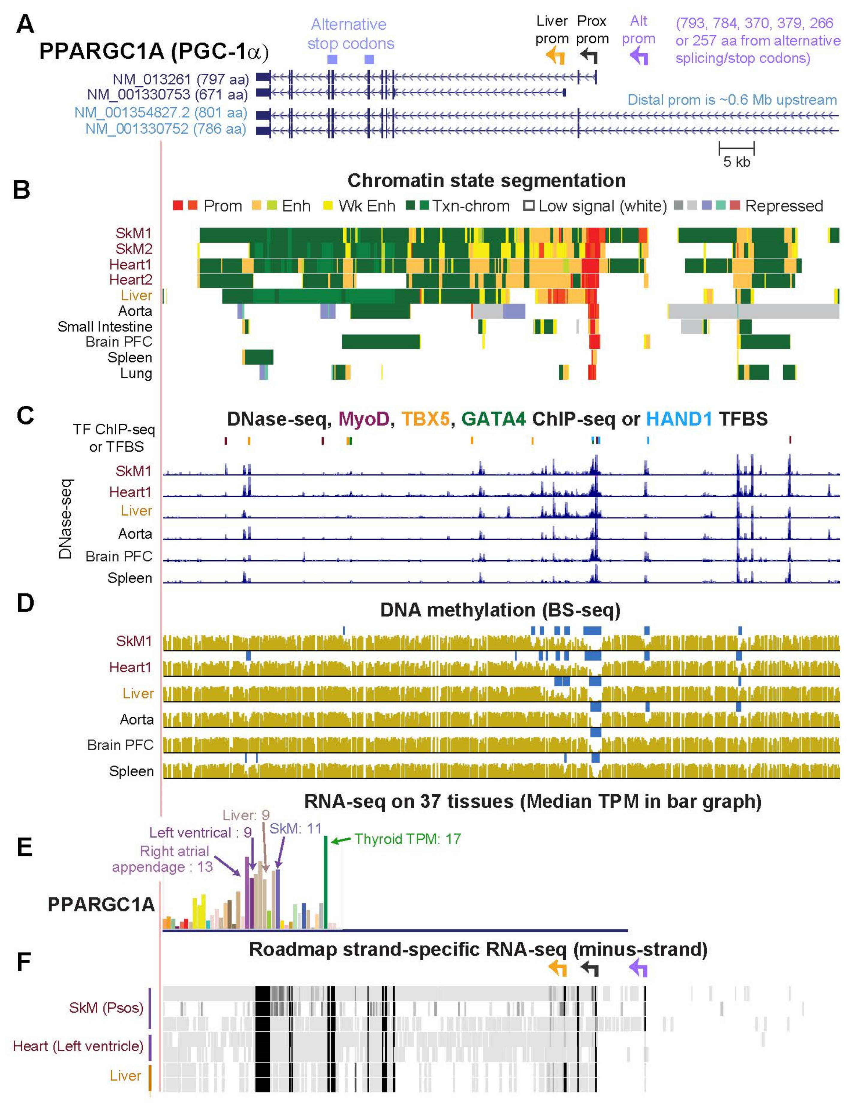 Epigenomes 06 00001 g007