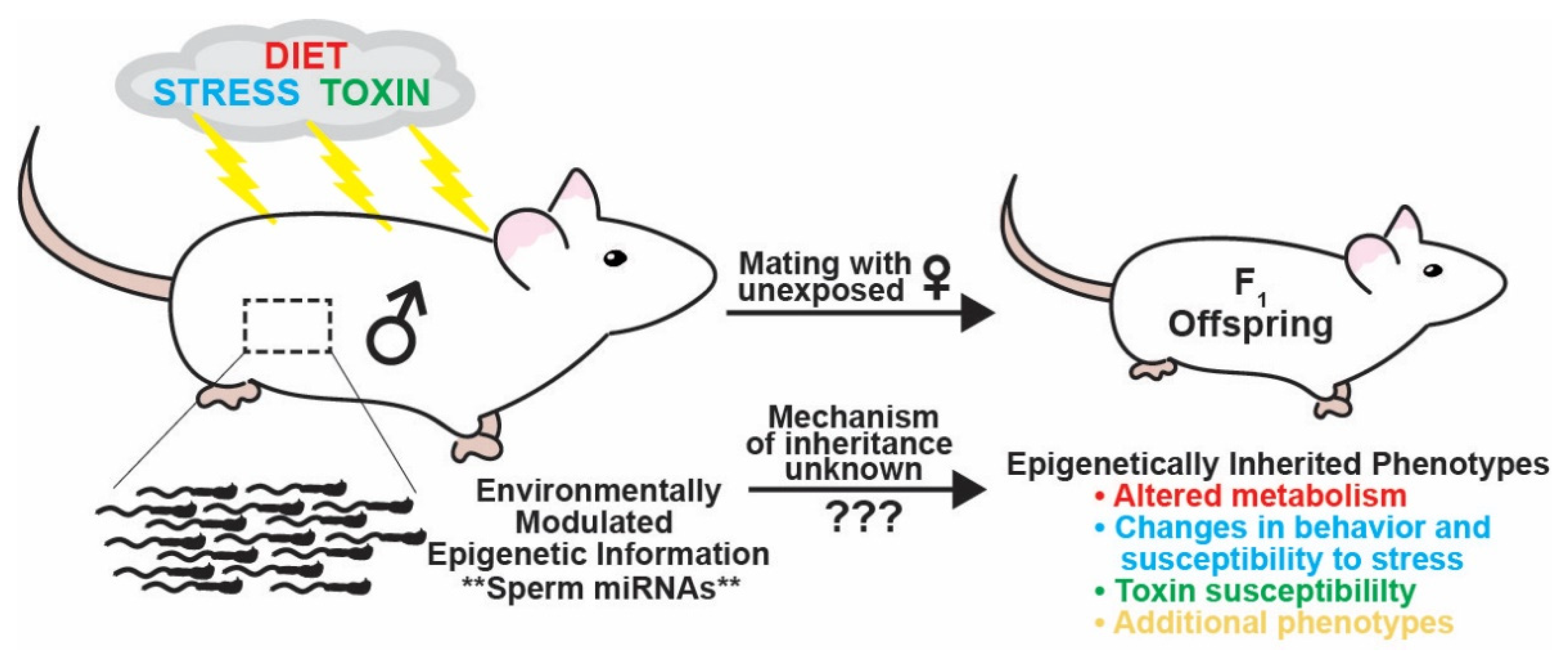 Epigenomes 06 00012 g001