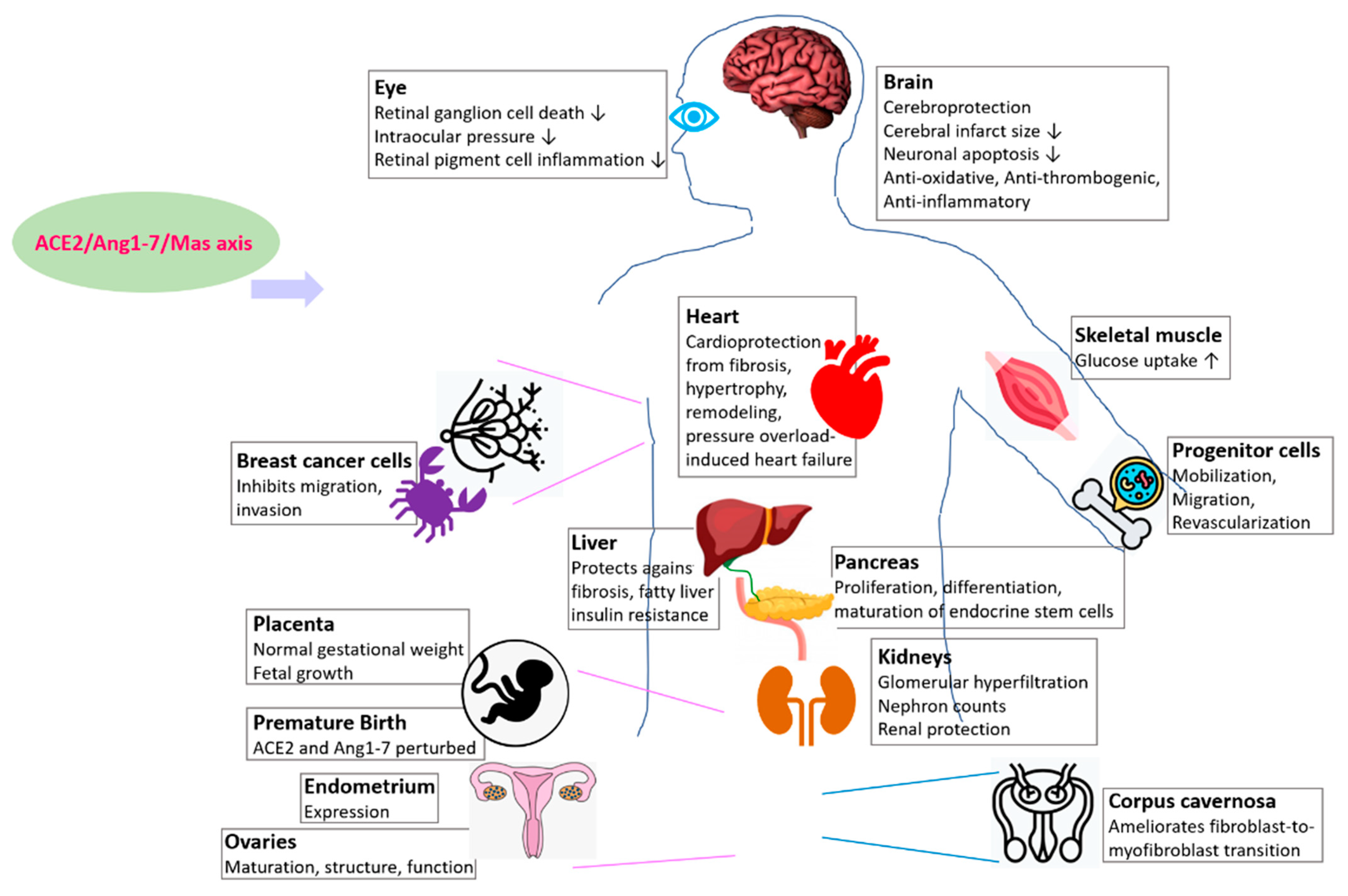 Epigenomes 06 00013 g002 550