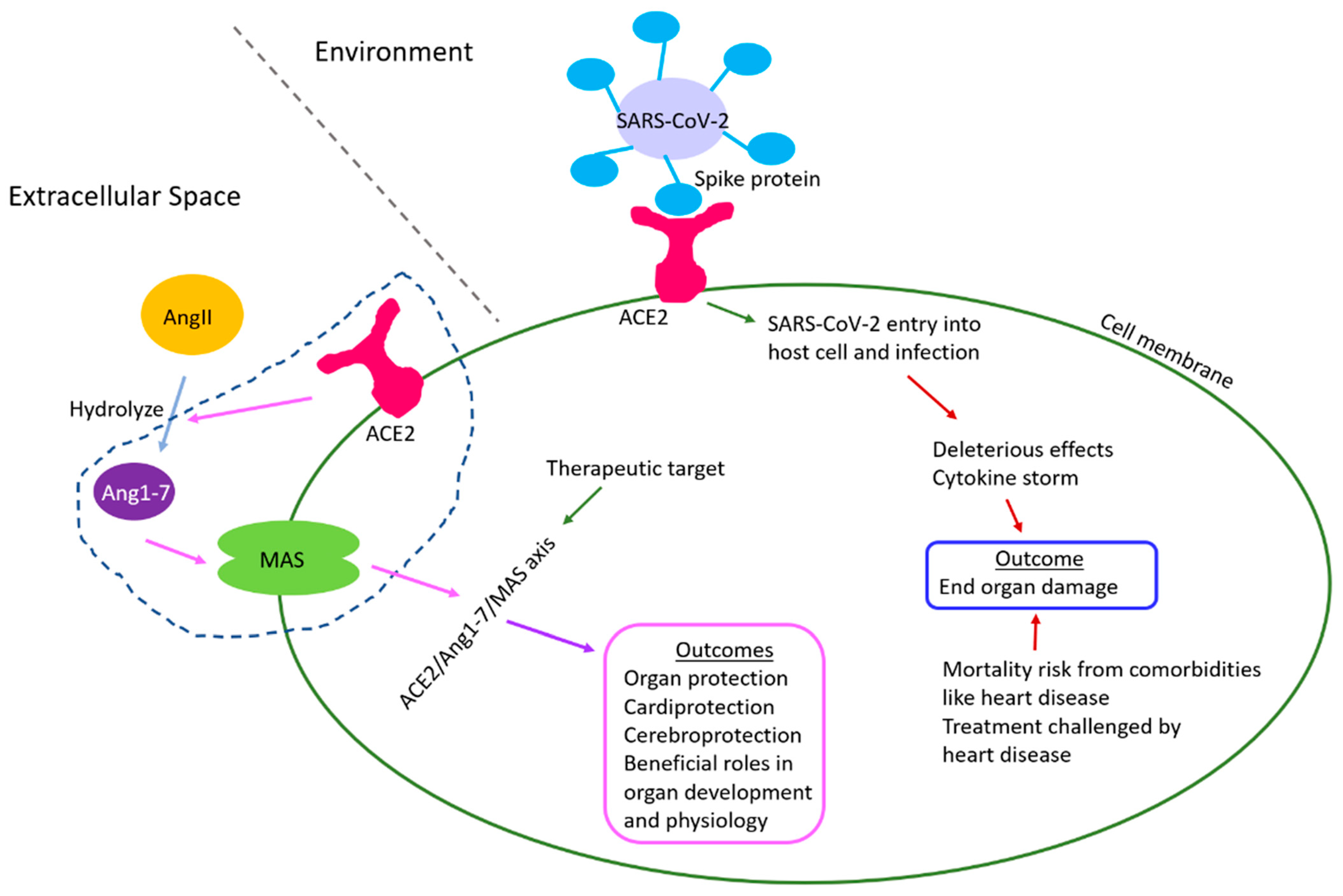 Epigenomes 06 00013 g005 550