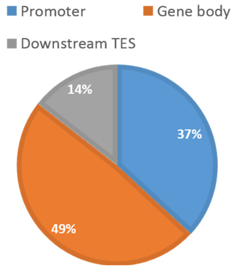 Epigenomes 06 00014 g001 550