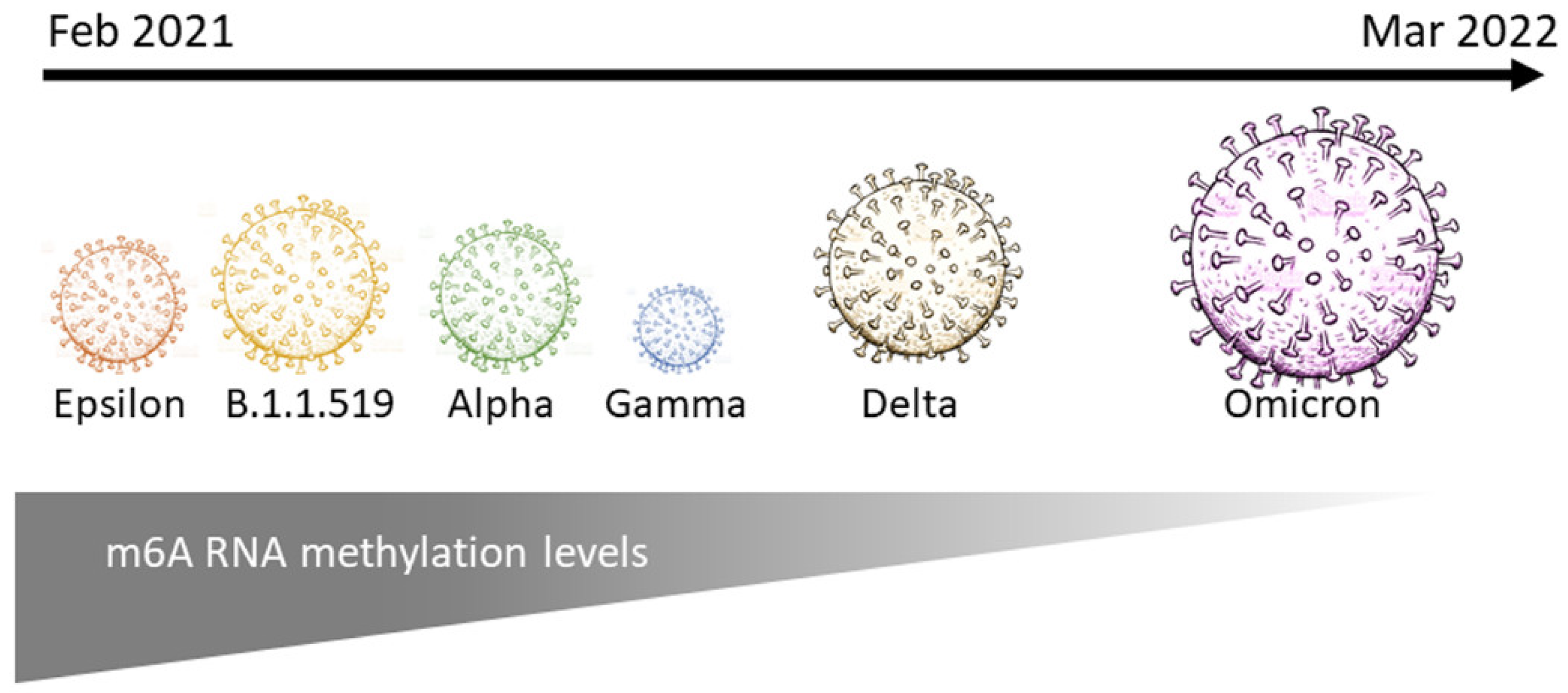 Epigenomes 06 00016 g005 550