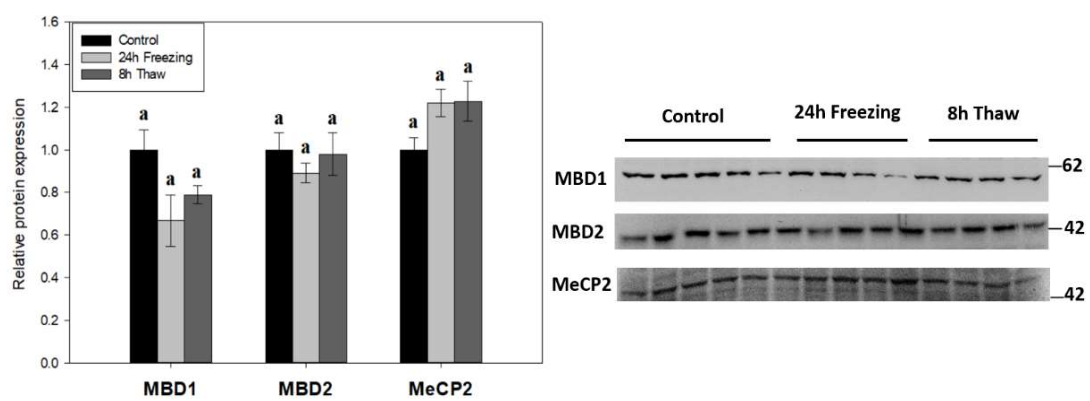 Epigenomes 06 00017 g004 550