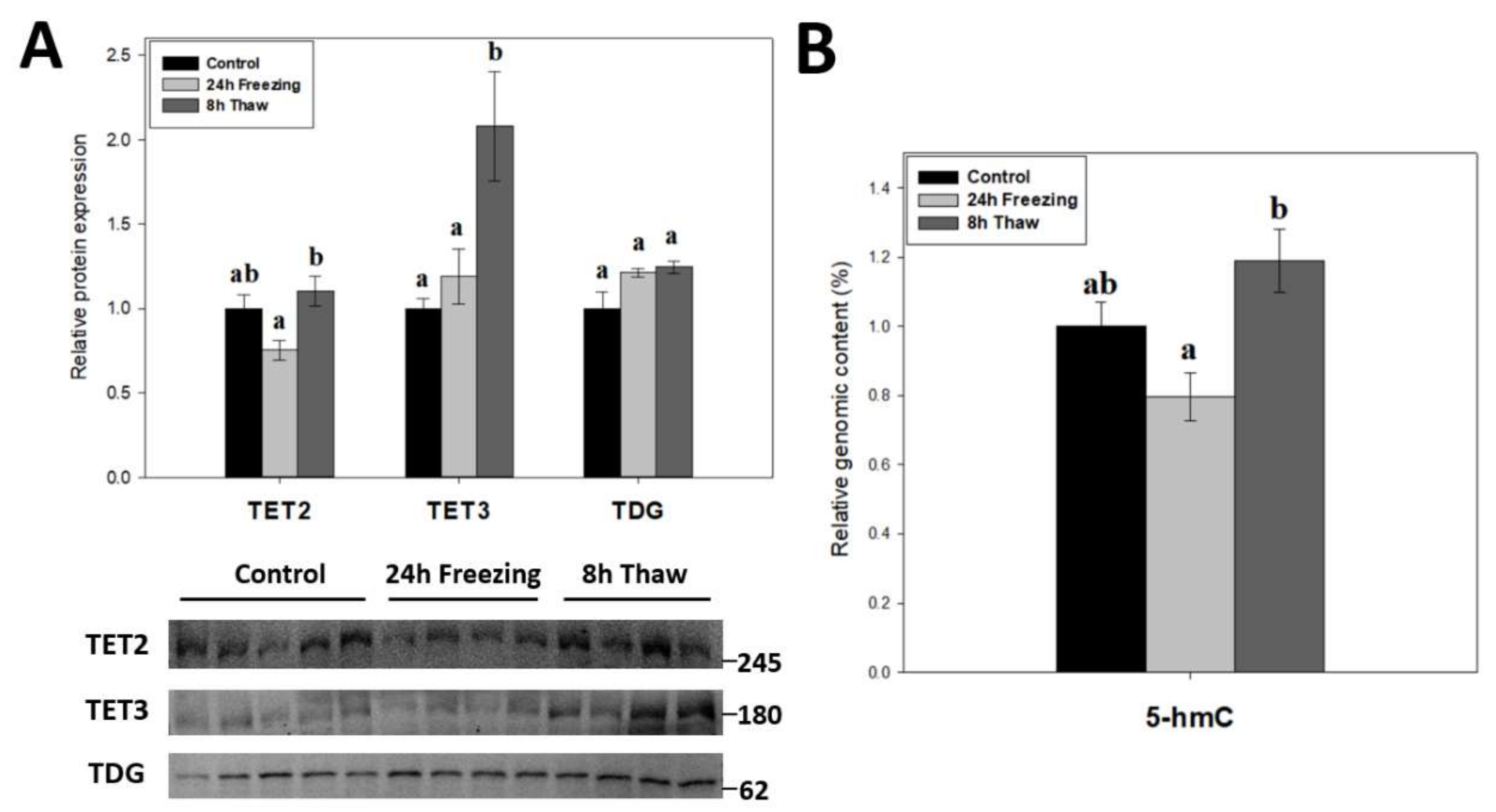 Epigenomes 06 00017 g005 550