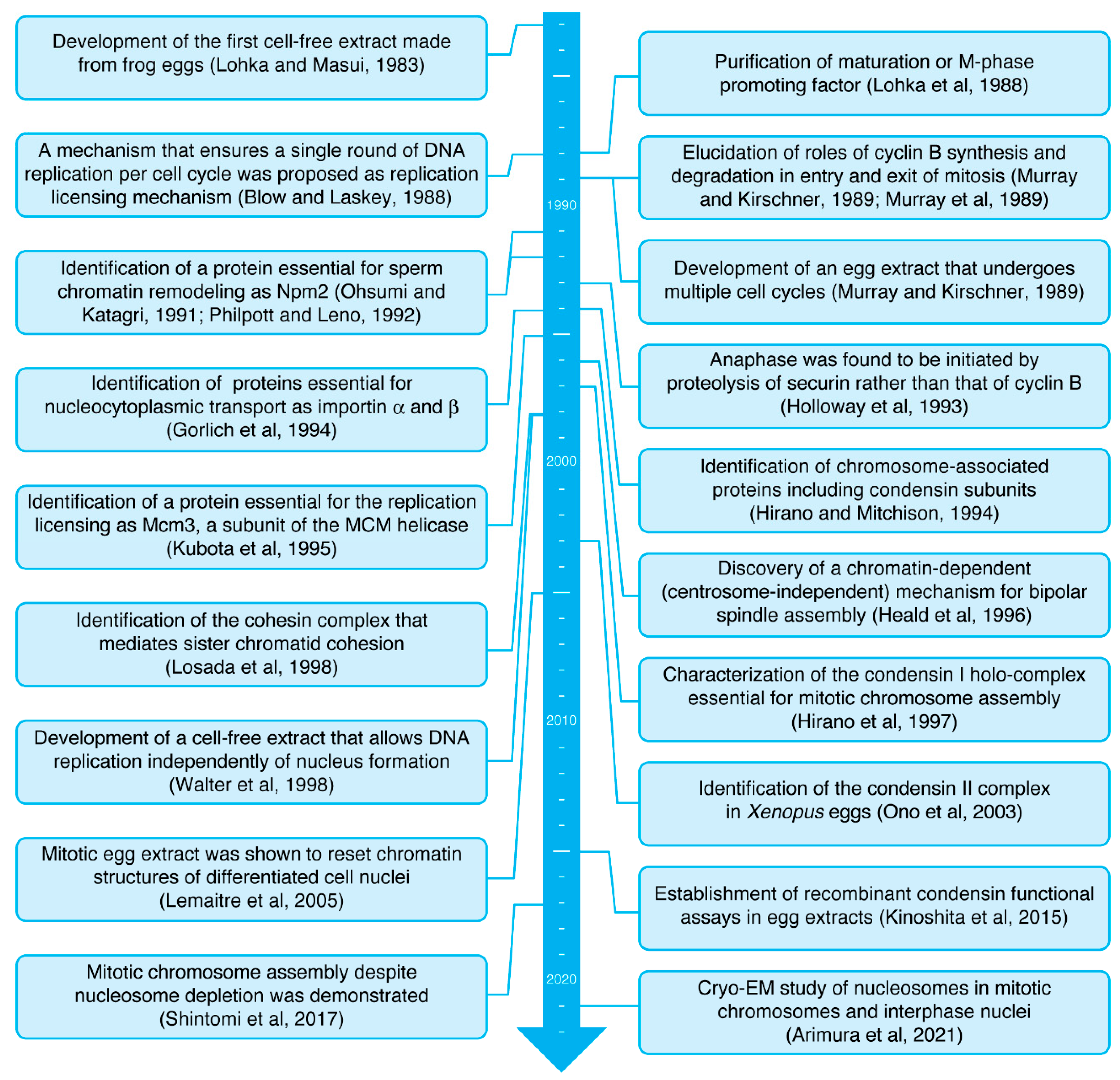Epigenomes 06 00020 g002 Epigenomes 06 00020 g002