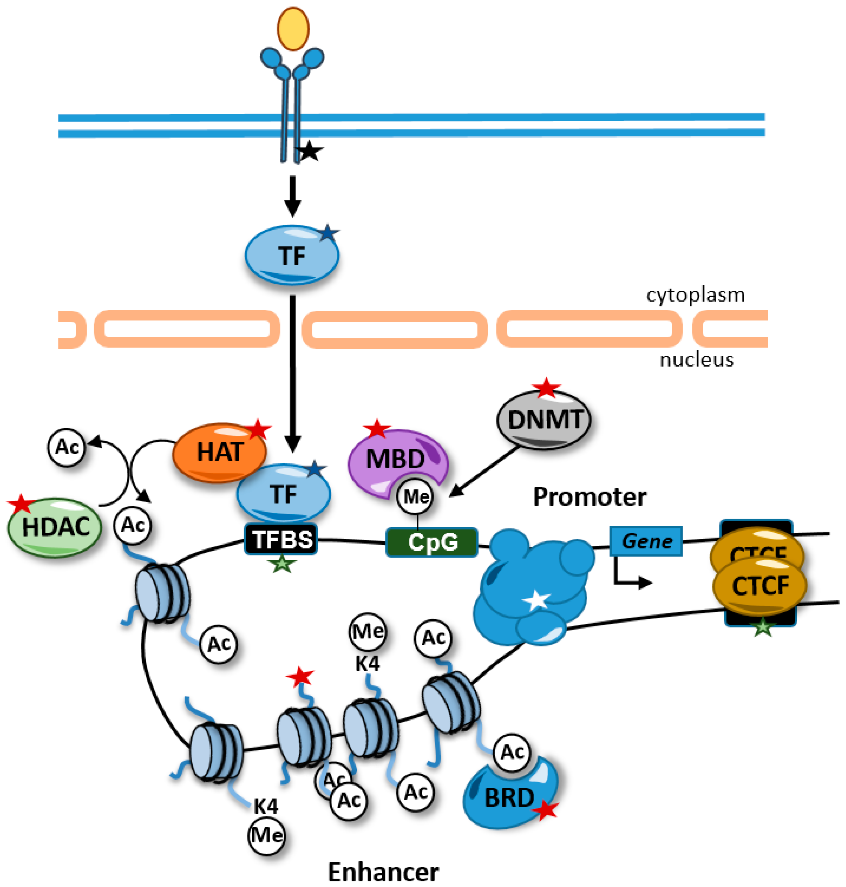 (PDF) Identification of de novo EP300 and PLAU variants in a