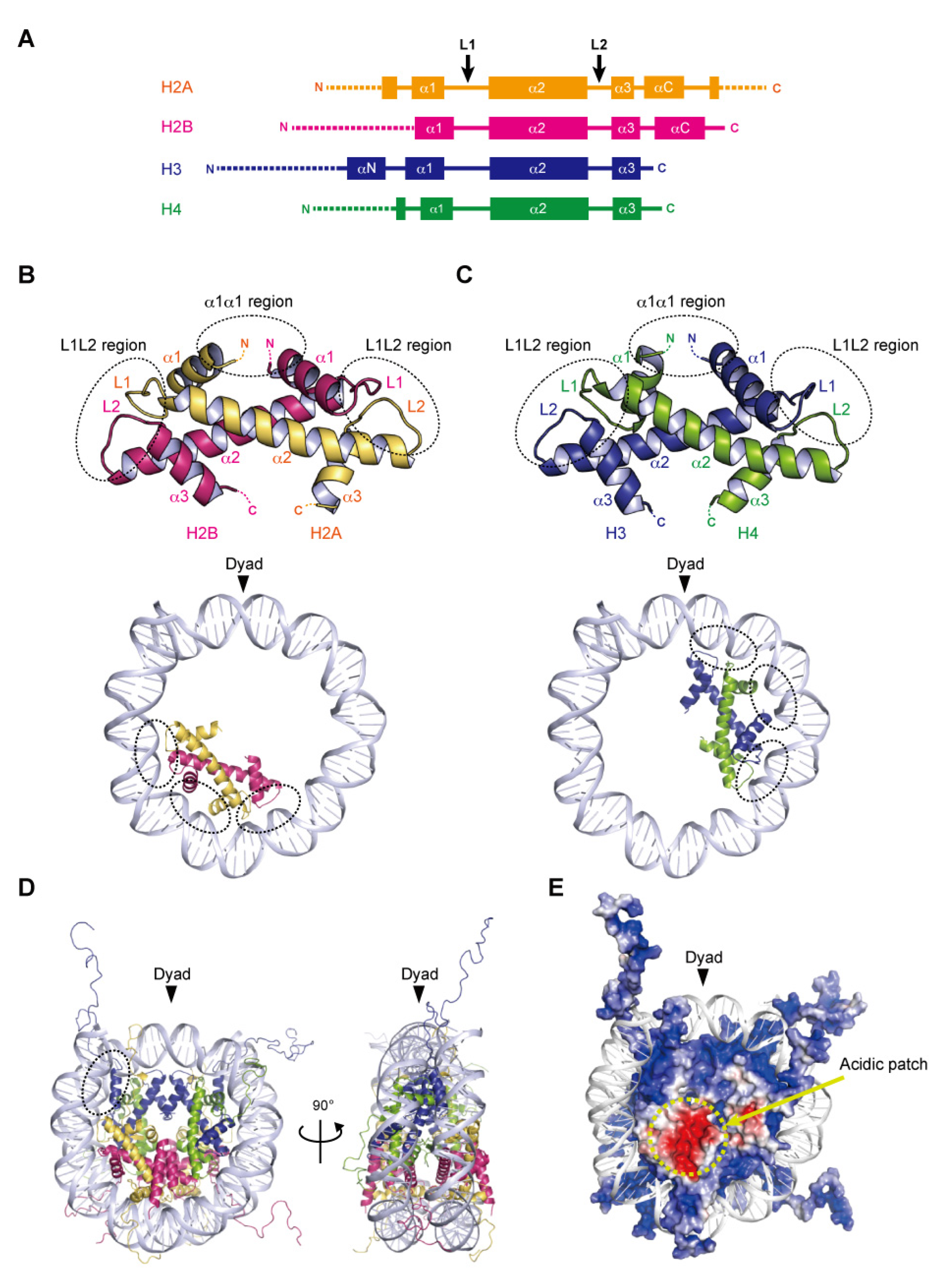 Epigenomes 06 00022 g001 Epigenomes 06 00022 g001