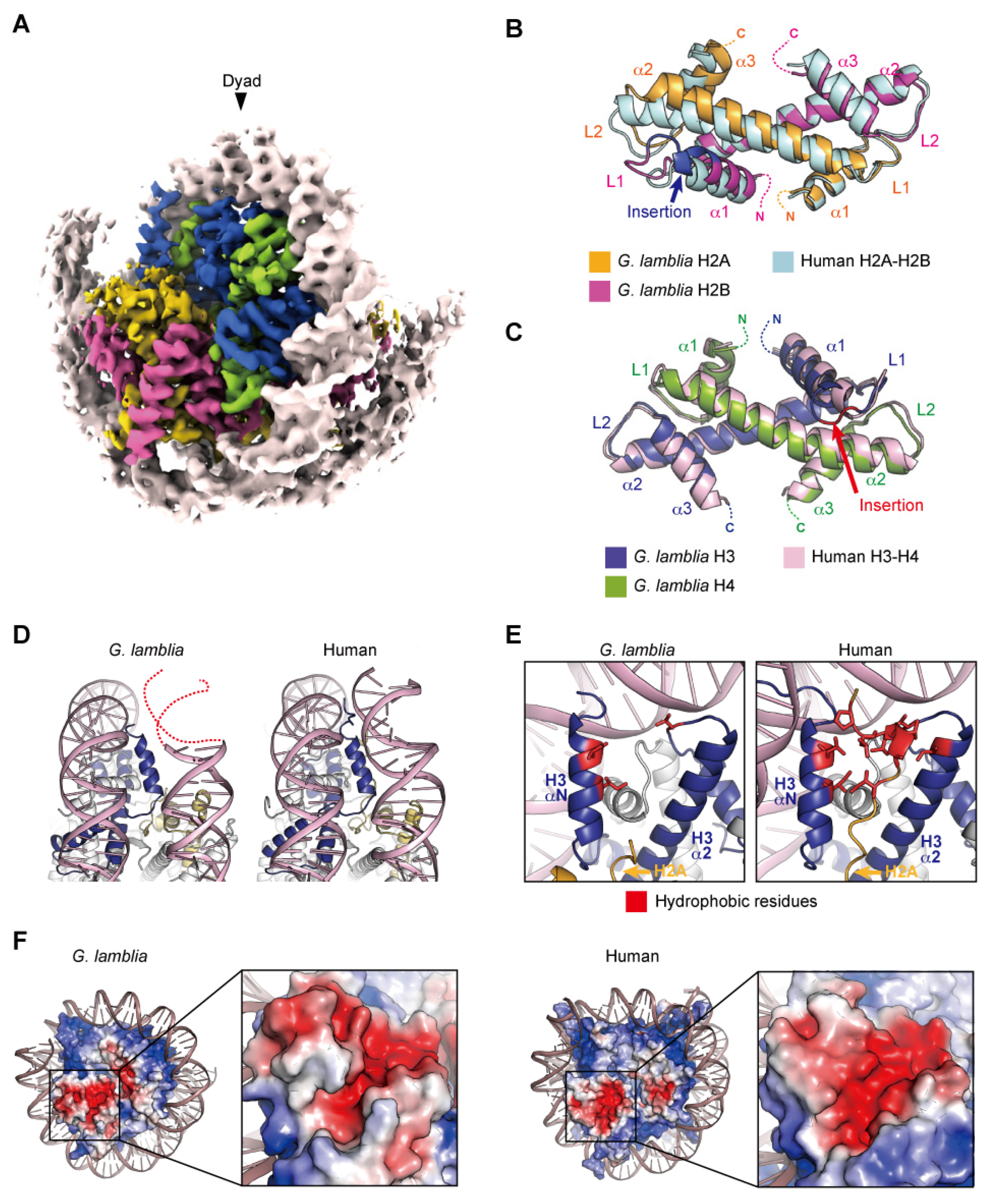 Epigenomes 06 00022 g002 Epigenomes 06 00022 g002