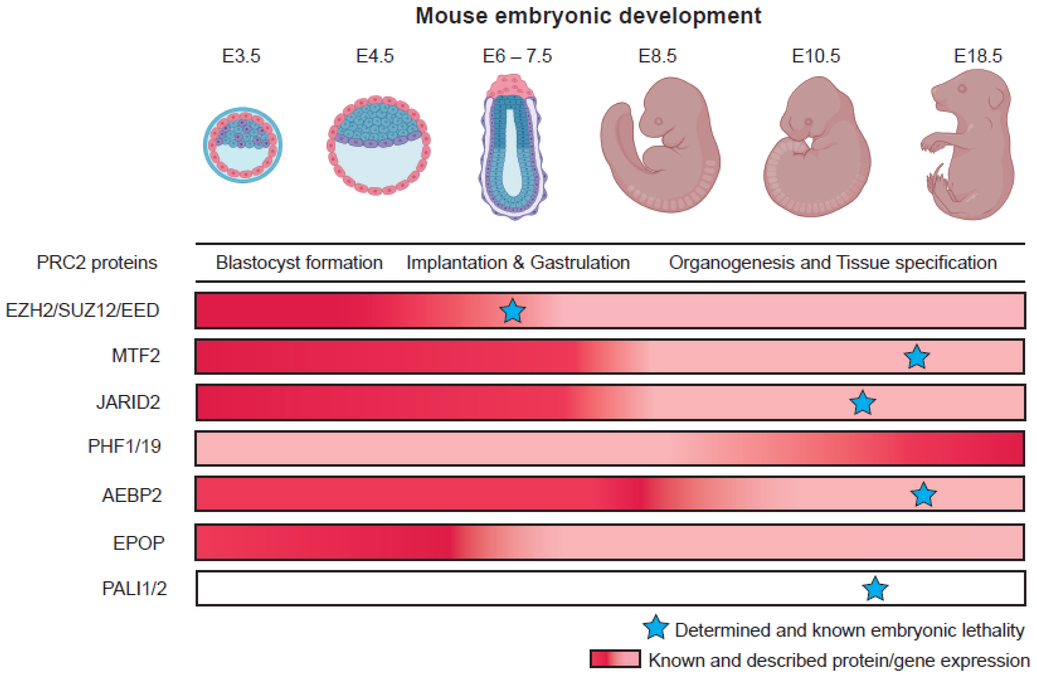 Epigenomes 06 00023 g003 Epigenomes 06 00023 g003
