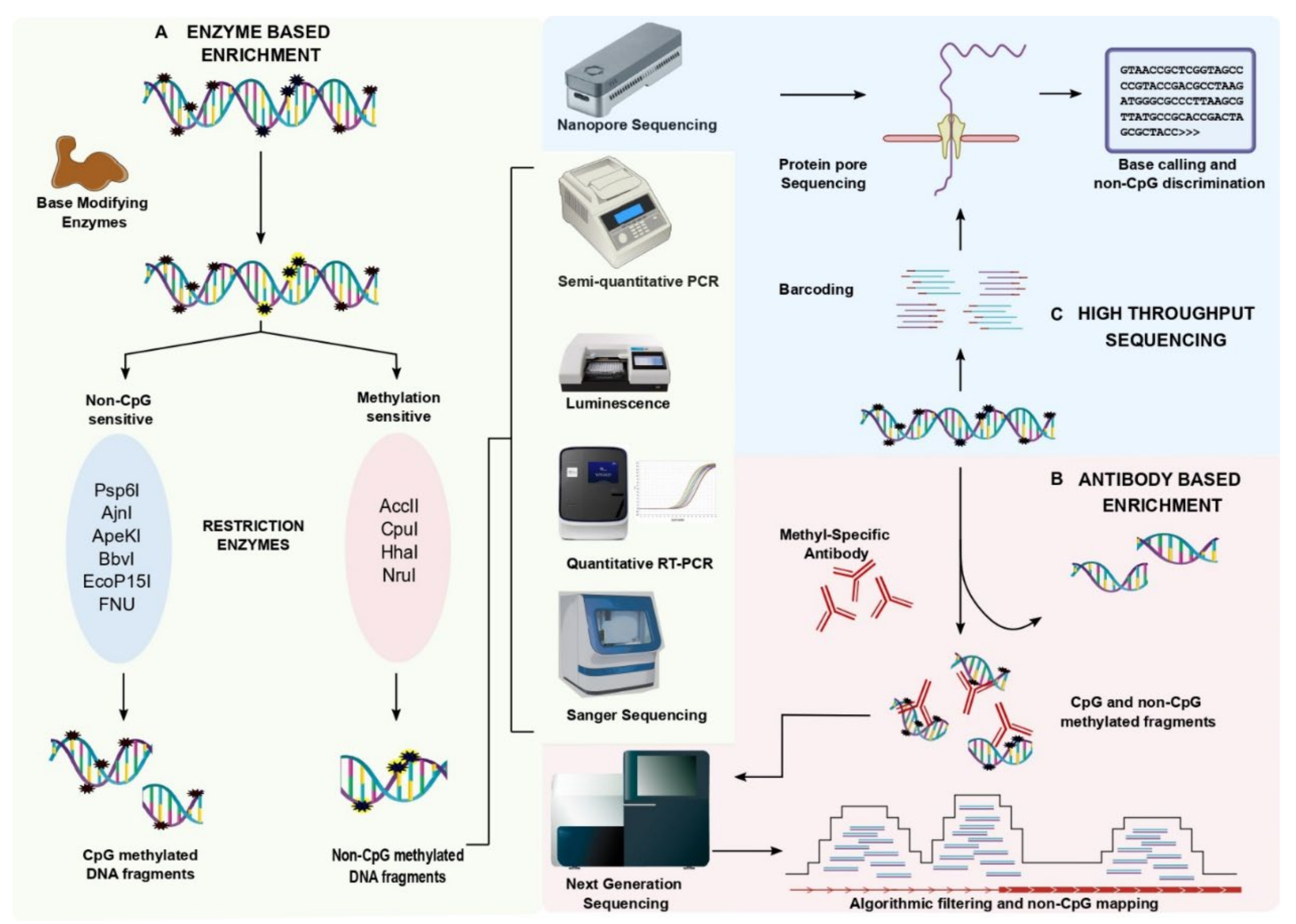 Epigenomes 06 00024 g001 Epigenomes 06 00024 g001