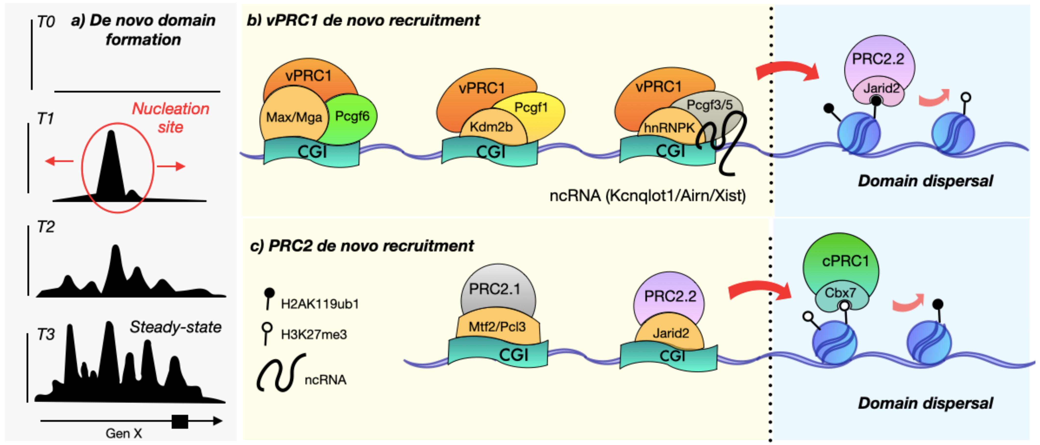 Epigenomes 06 00025 g002 Epigenomes 06 00025 g002