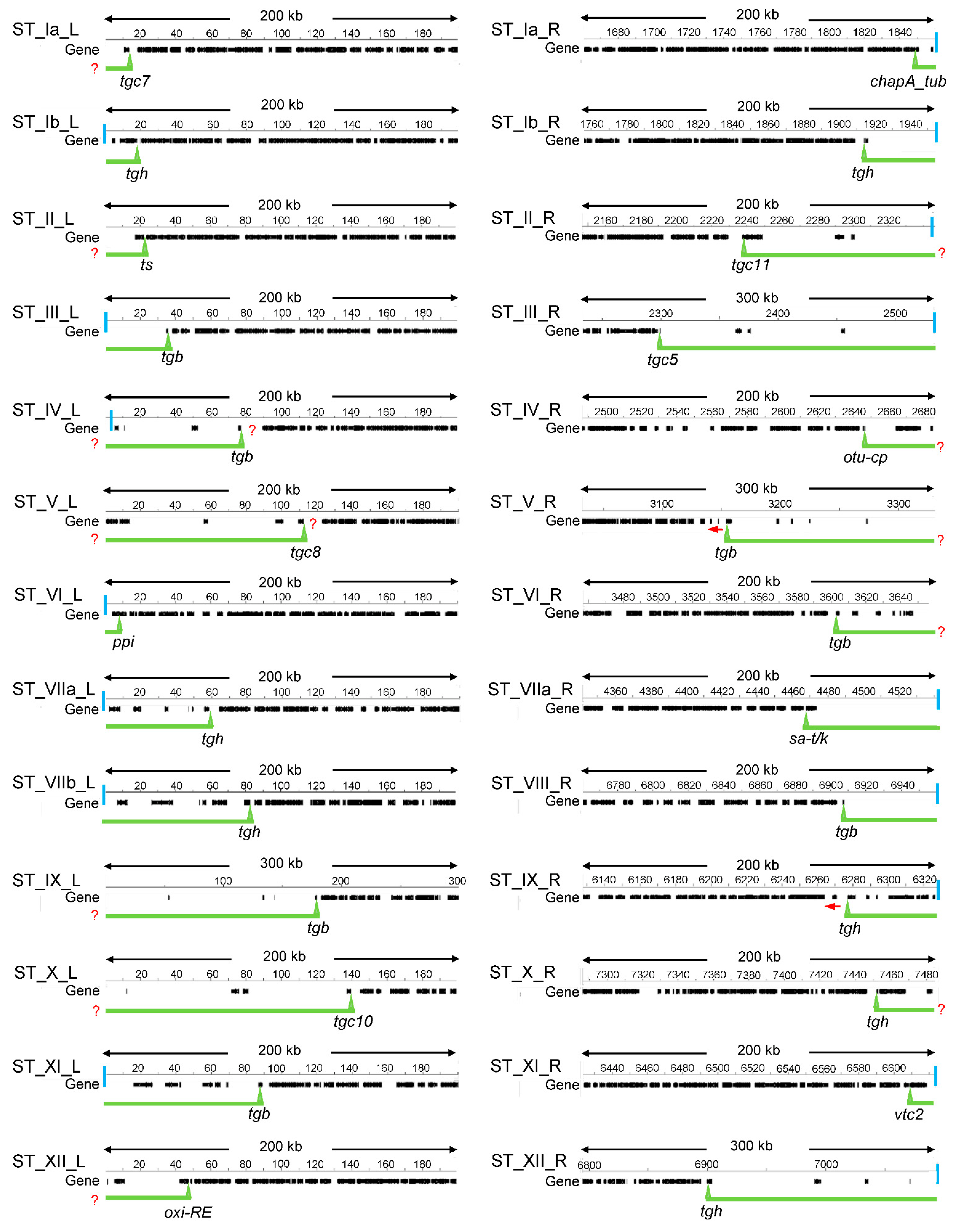 Epigenomes 06 00029 g001 Epigenomes 06 00029 g001