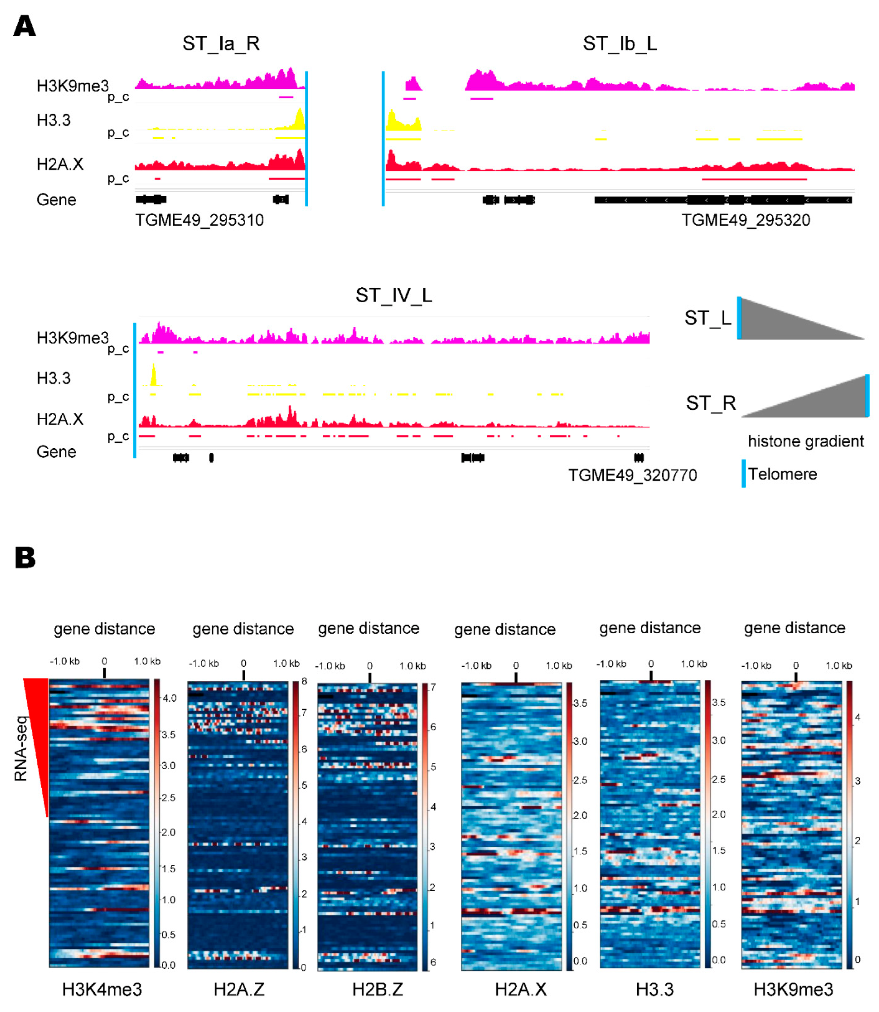Epigenomes 06 00029 g002 Epigenomes 06 00029 g002