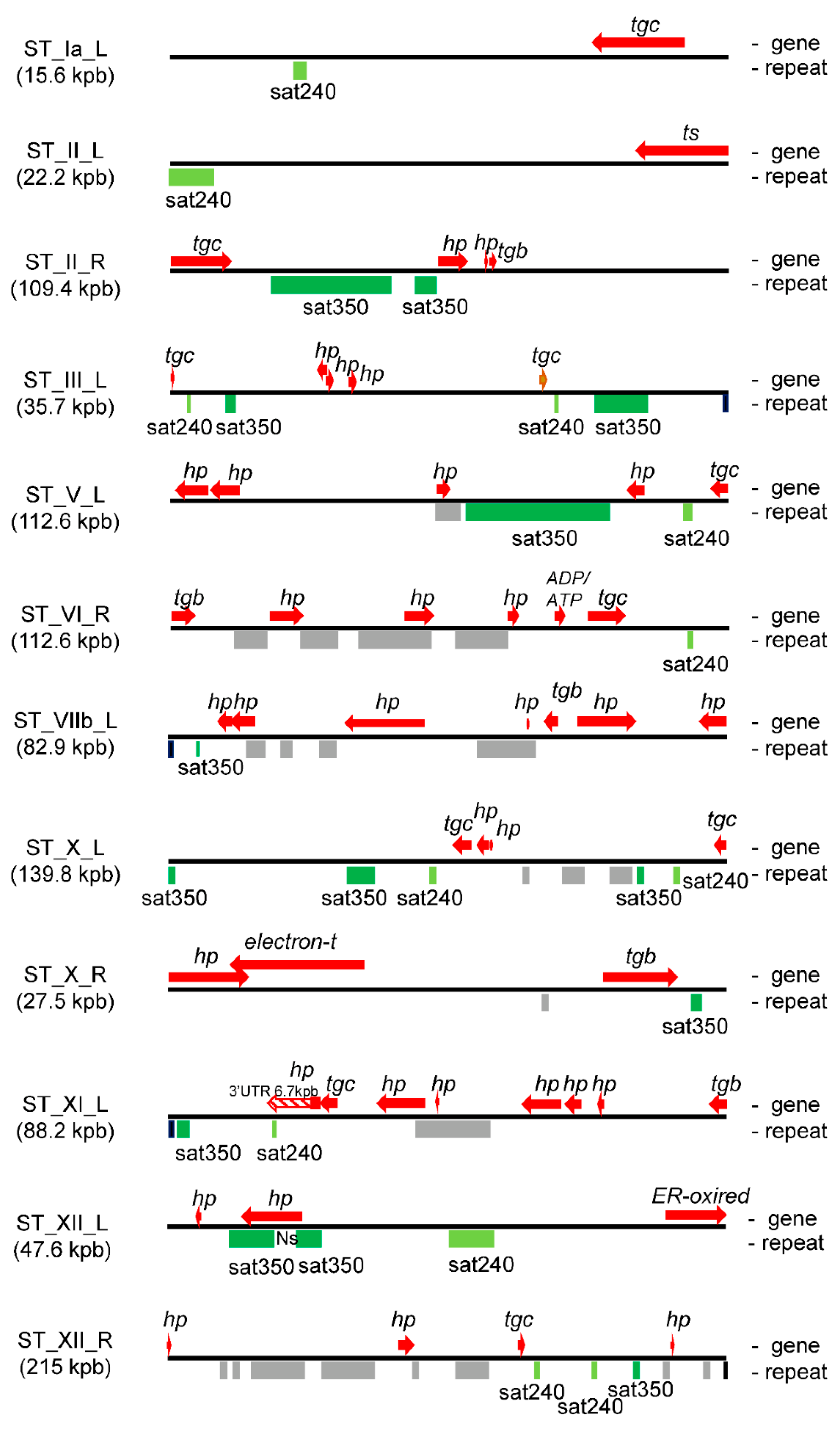 Epigenomes 06 00029 g003 Epigenomes 06 00029 g003