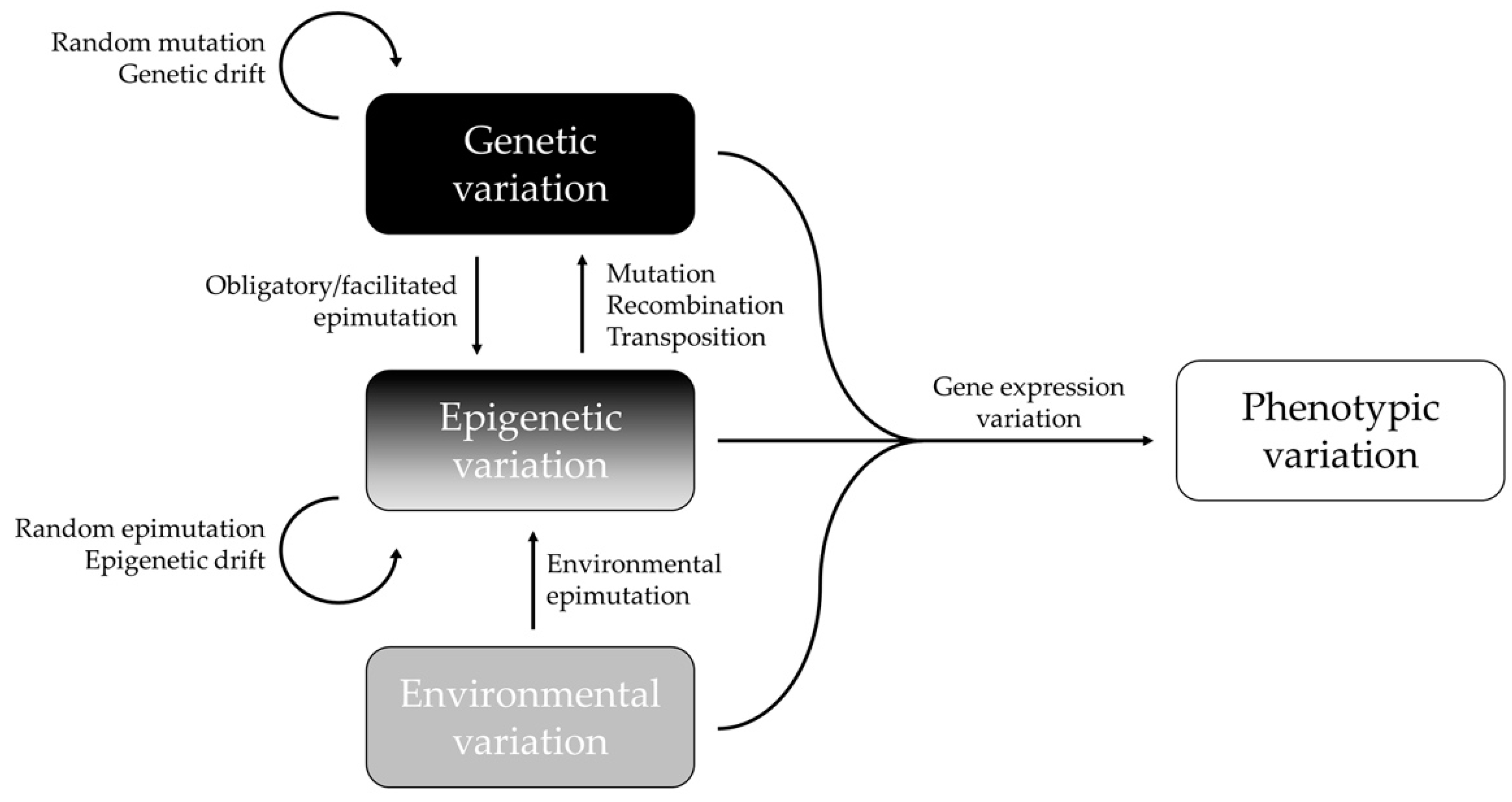 Molecular signatures of inherited and acquired sporadic late onset