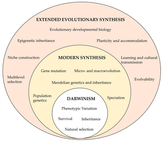 Population Epigenetics: The Extent of DNA Methylation Variation in 