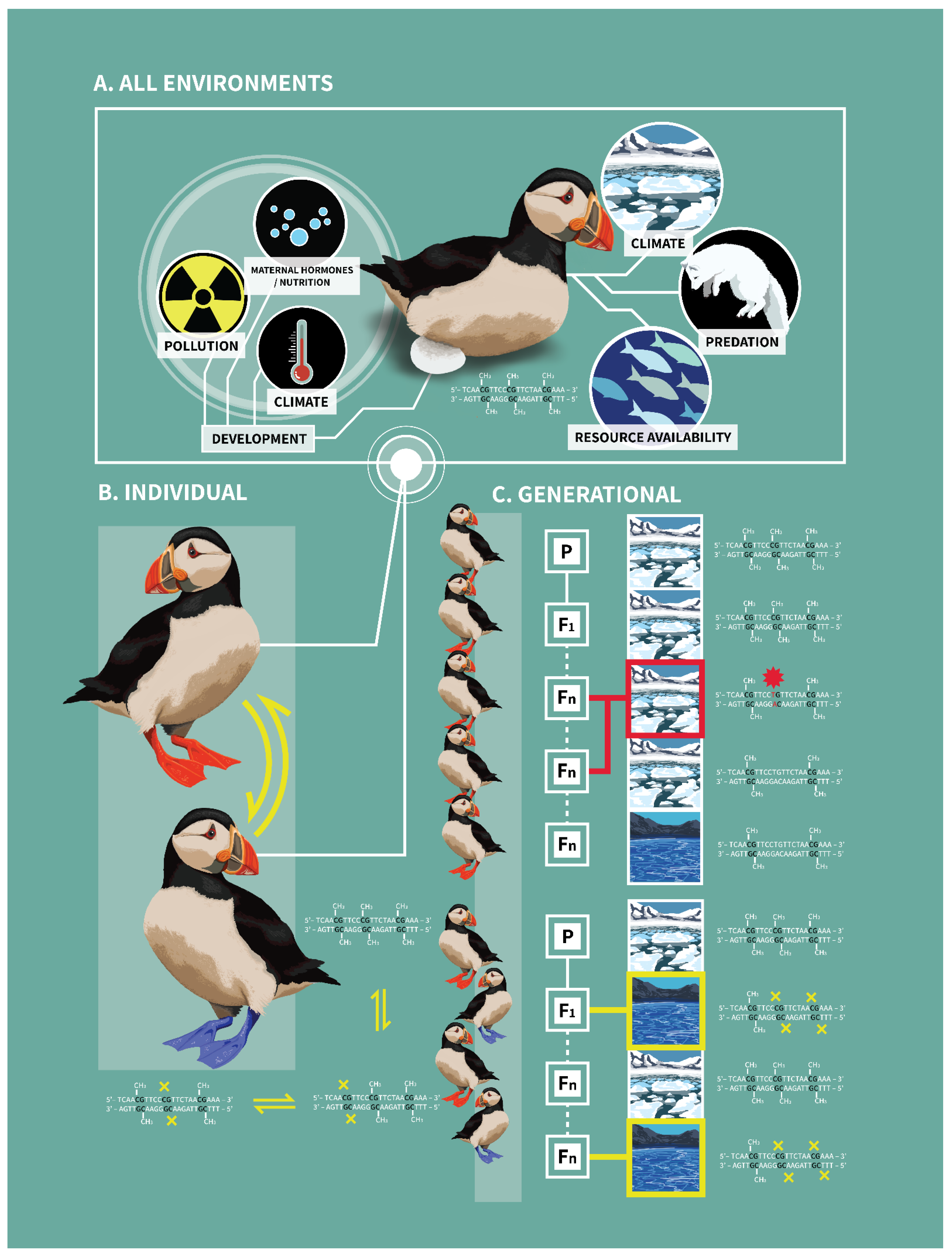Epigenomes 06 00033 g001 Epigenomes 06 00033 g001