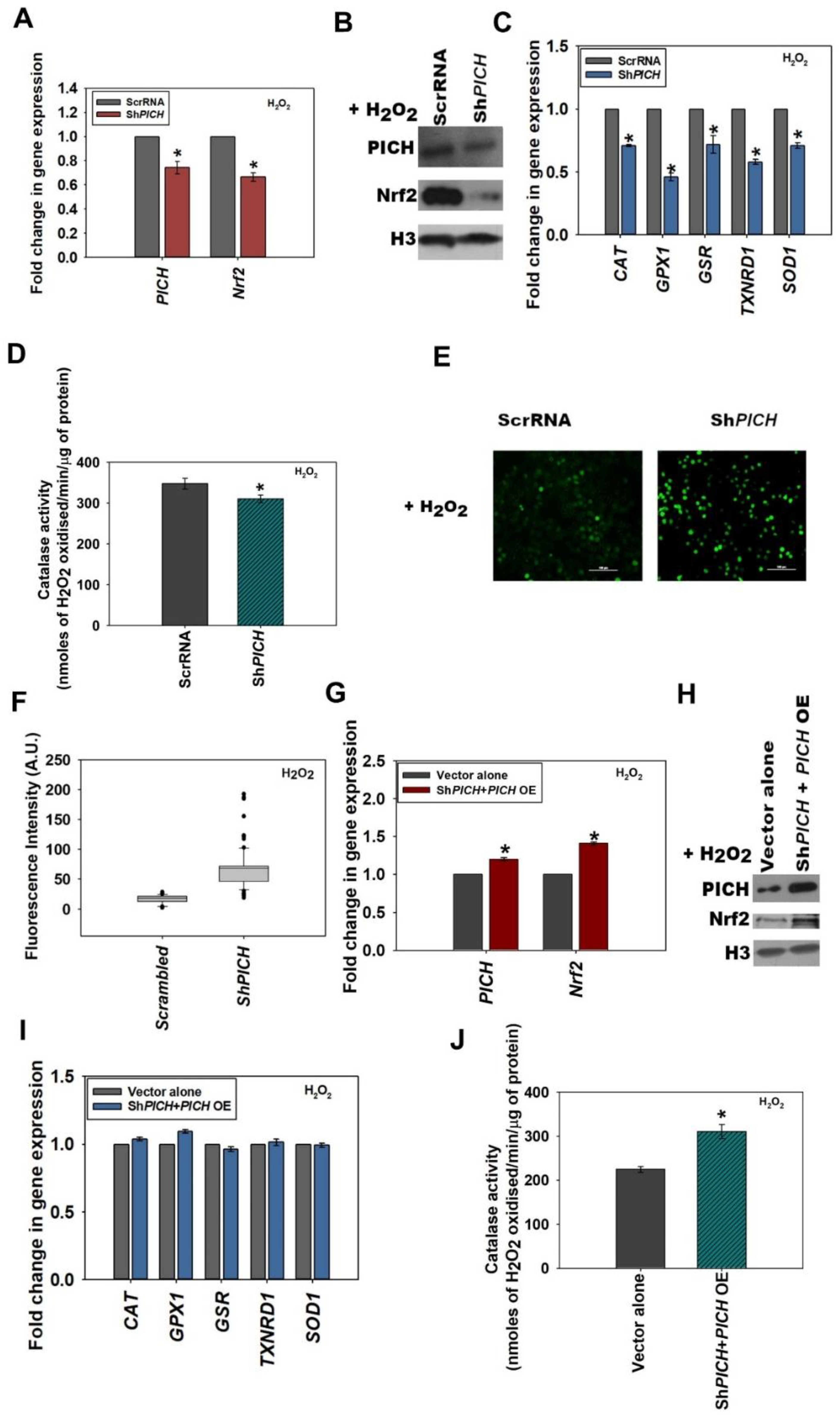 Epigenomes 06 00036 g002