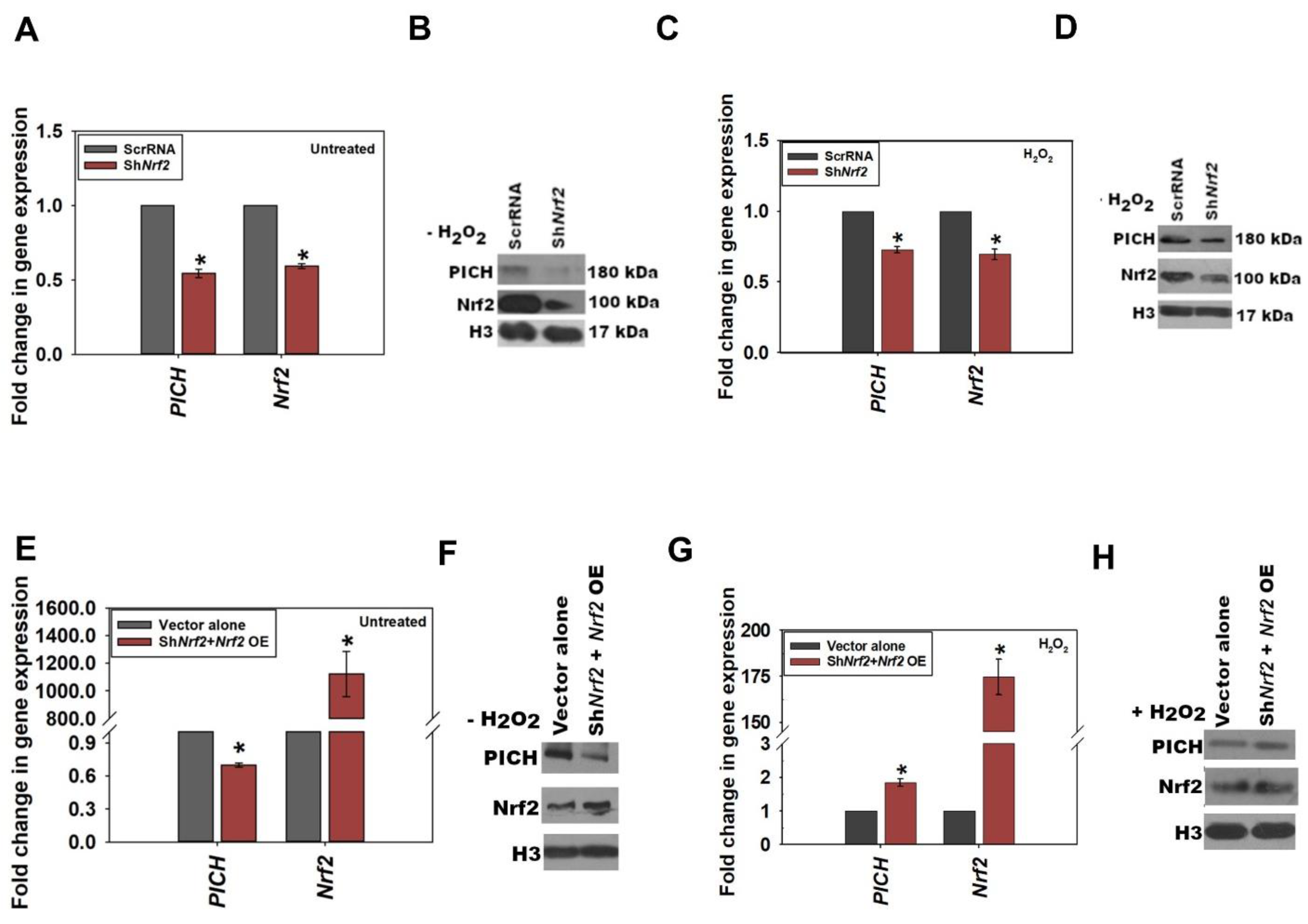 Epigenomes 06 00036 g003