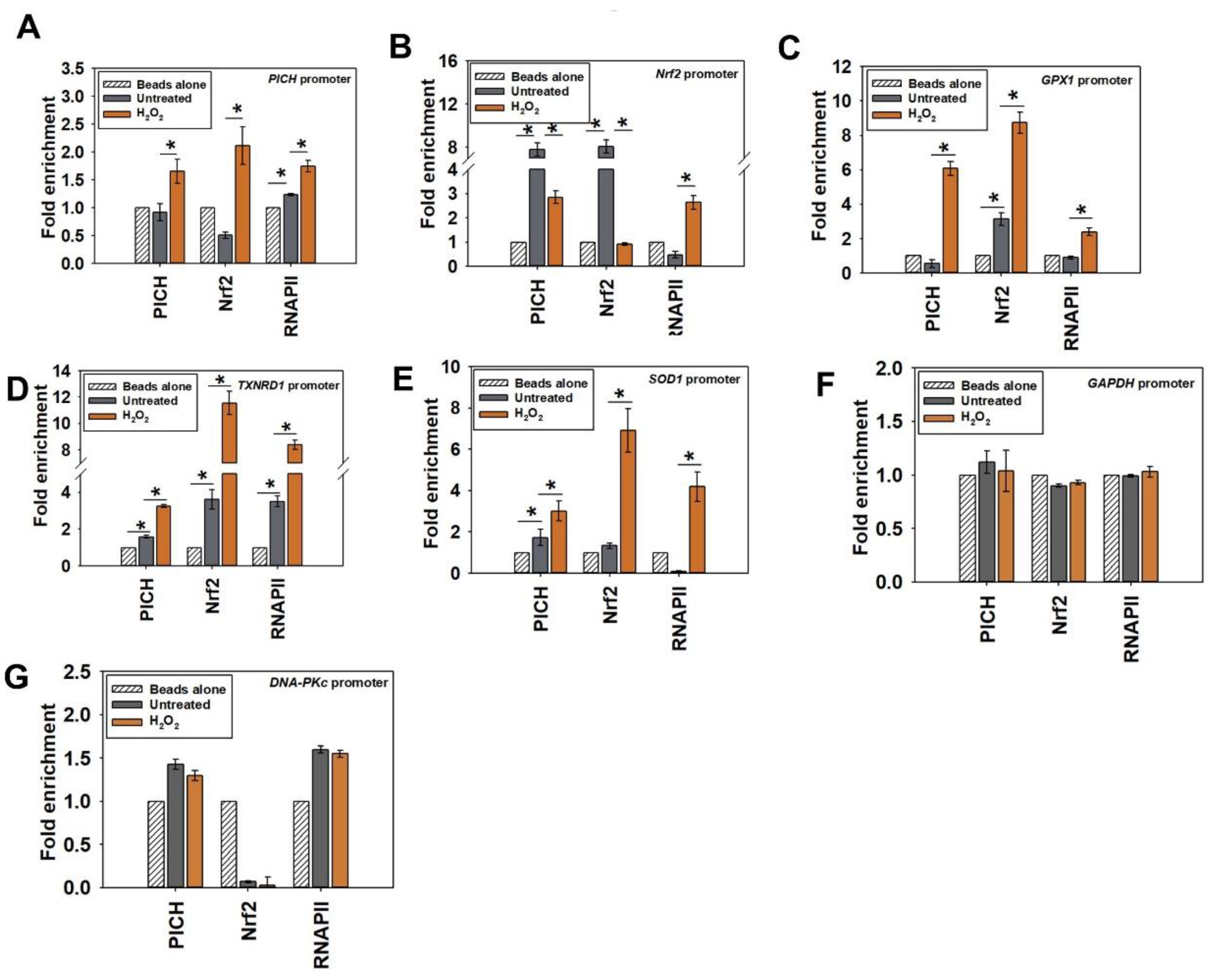 Epigenomes 06 00036 g004
