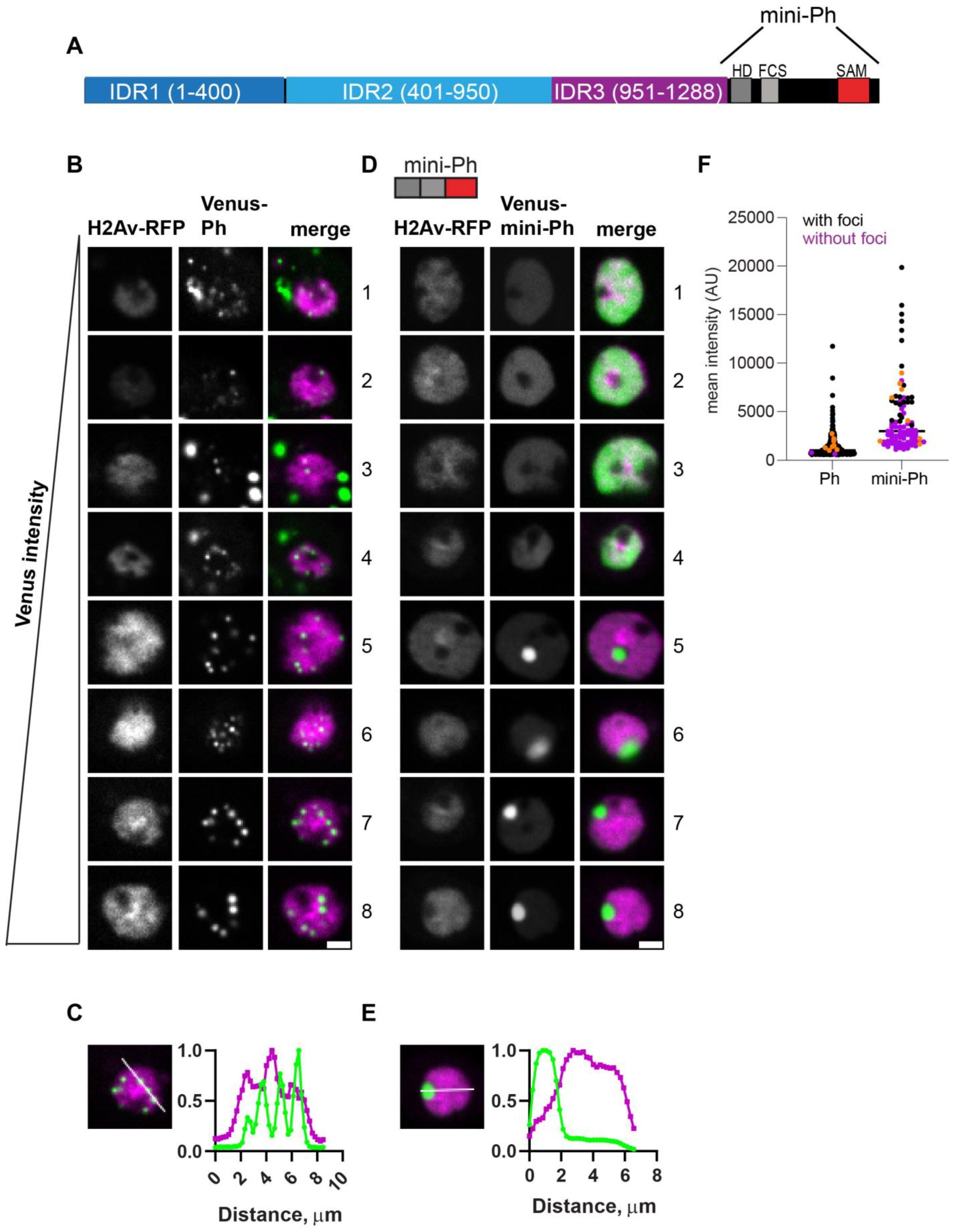 Epigenomes 06 00040 g002
