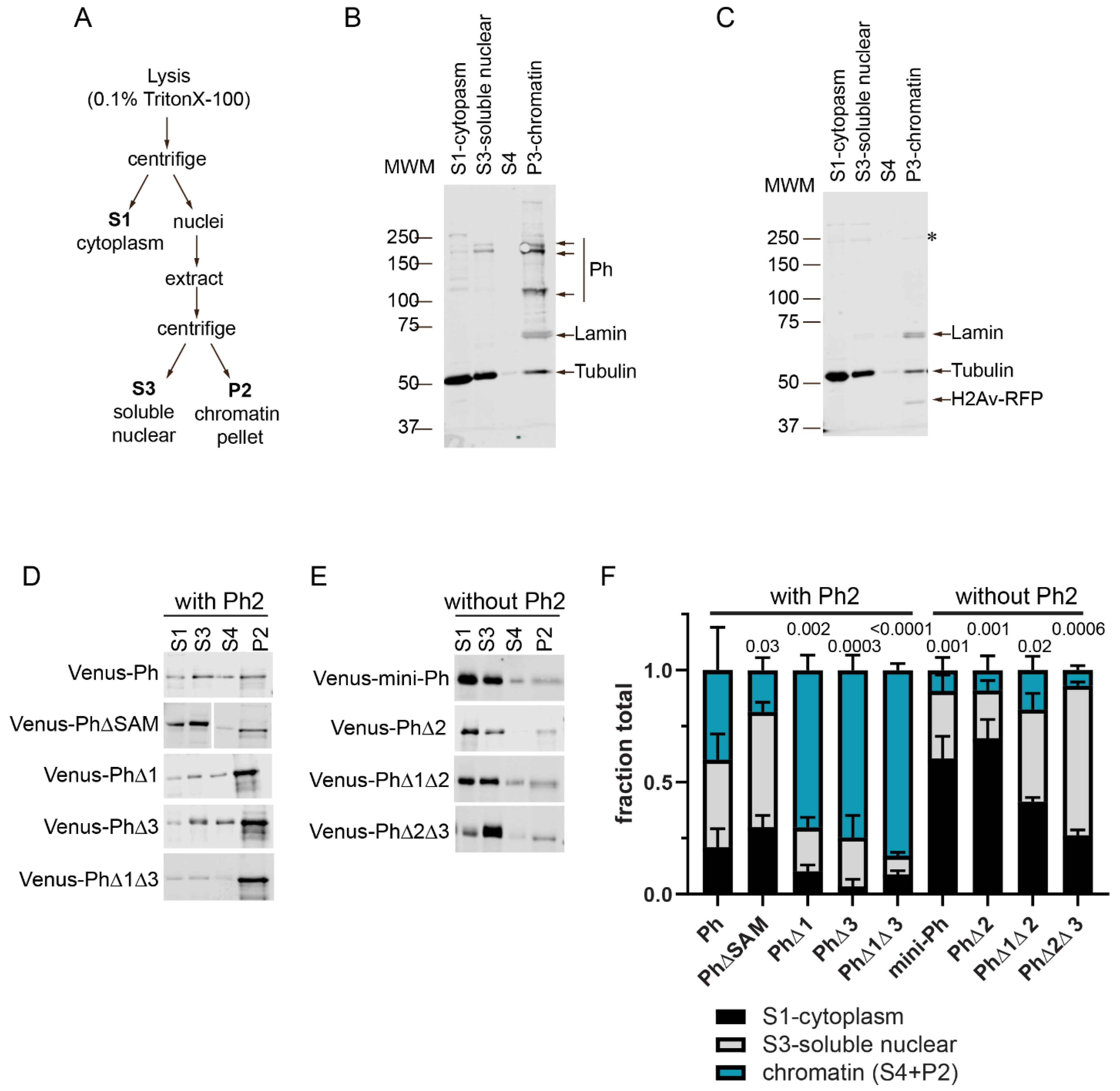 Epigenomes 06 00040 g006