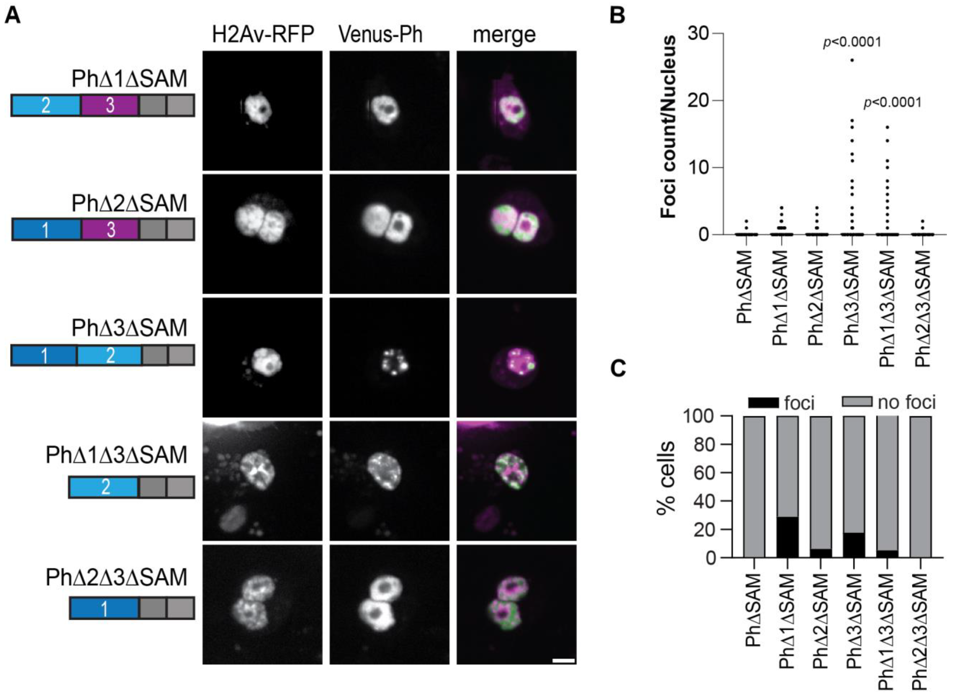 Epigenomes 06 00040 g007