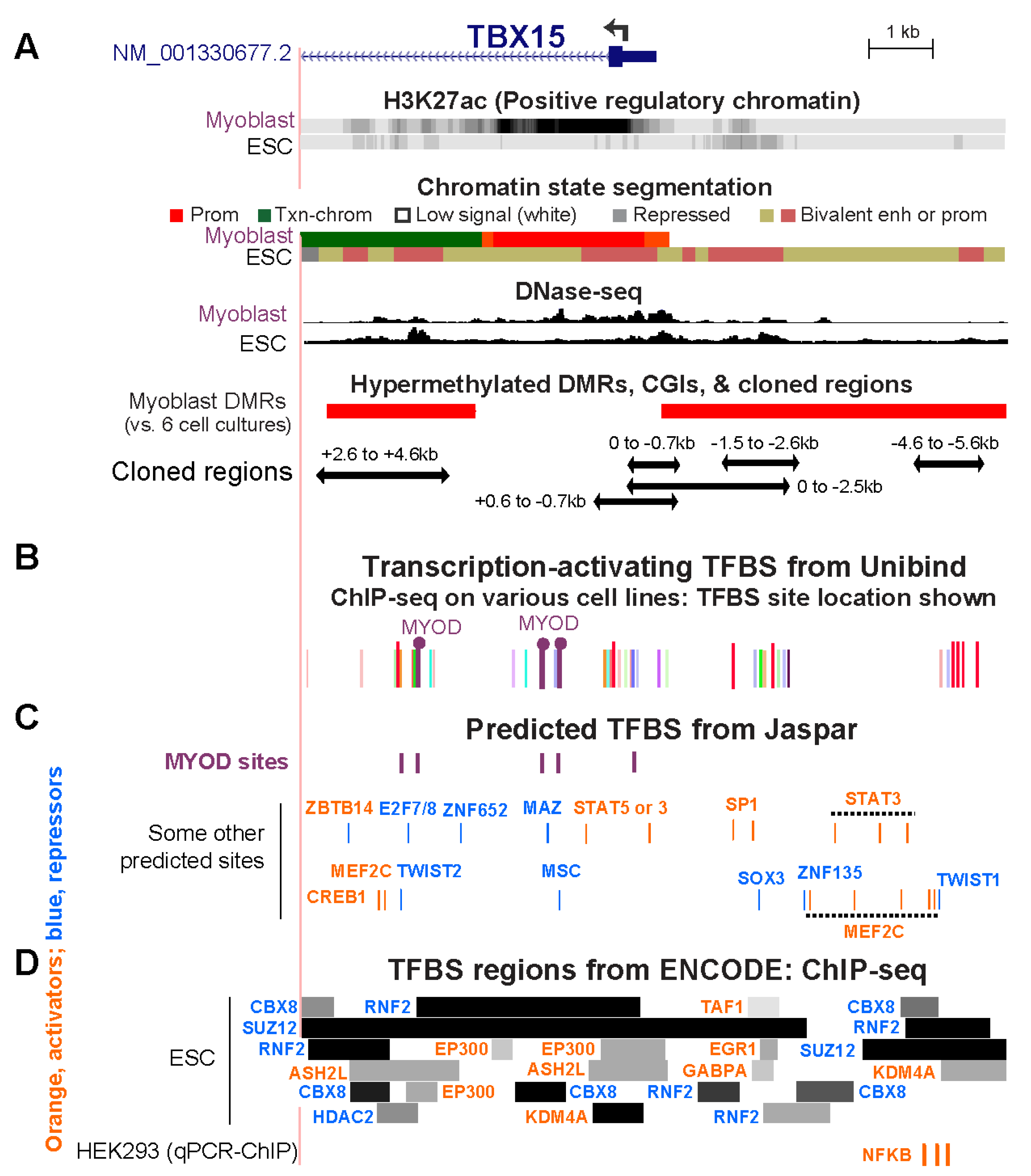 Epigenomes 06 00043 g006
