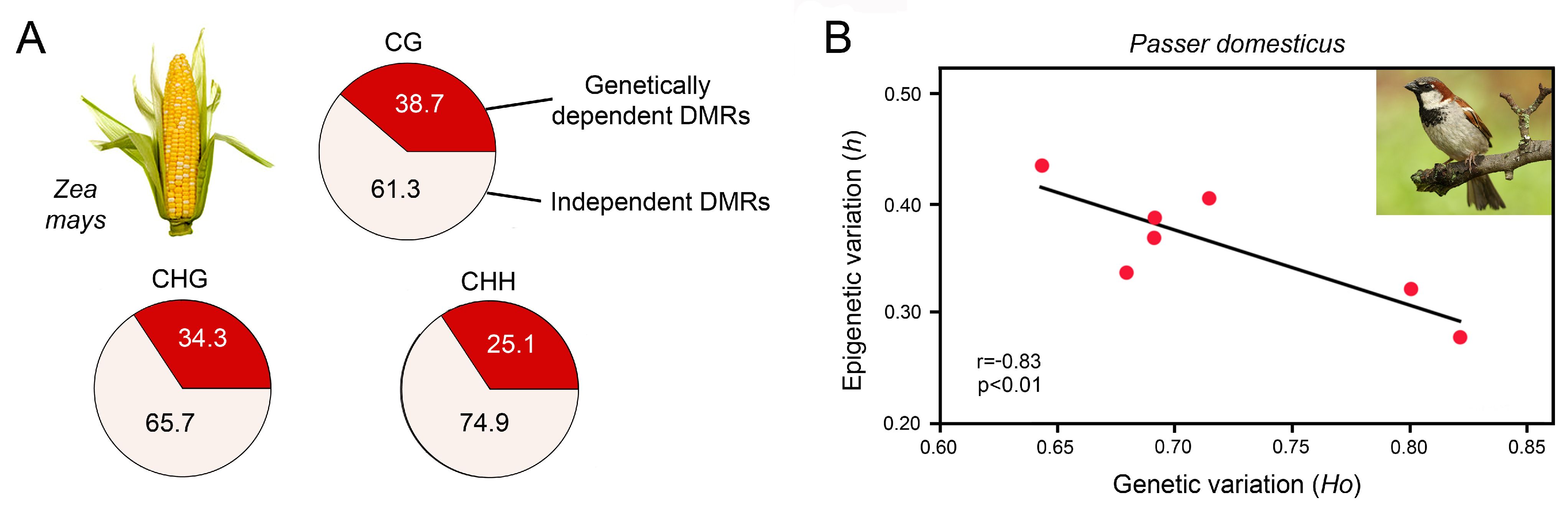 Epigenomes 07 00001 g004 Epigenomes 07 00001 g004