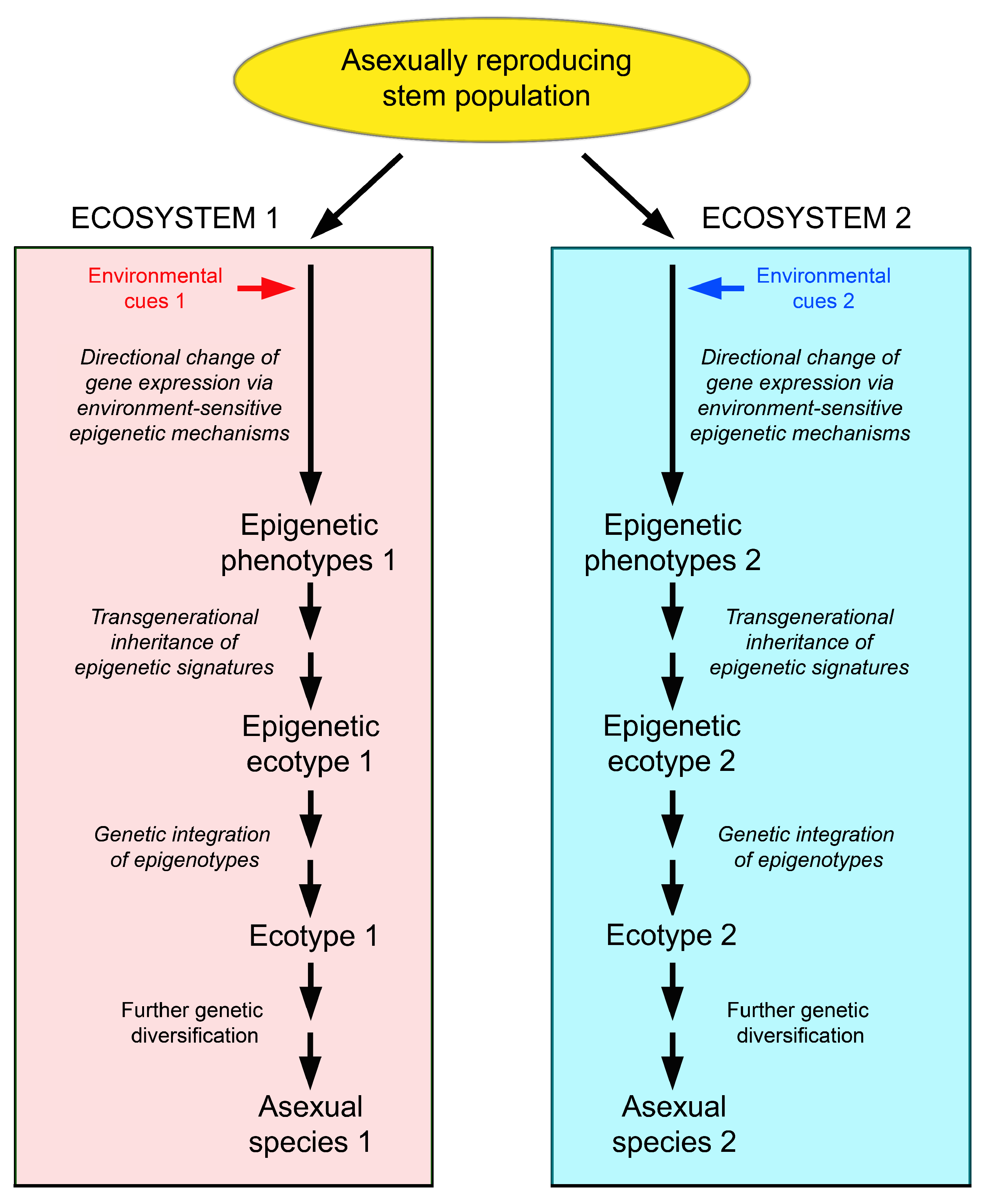 Epigenomes 07 00001 g005 Epigenomes 07 00001 g005