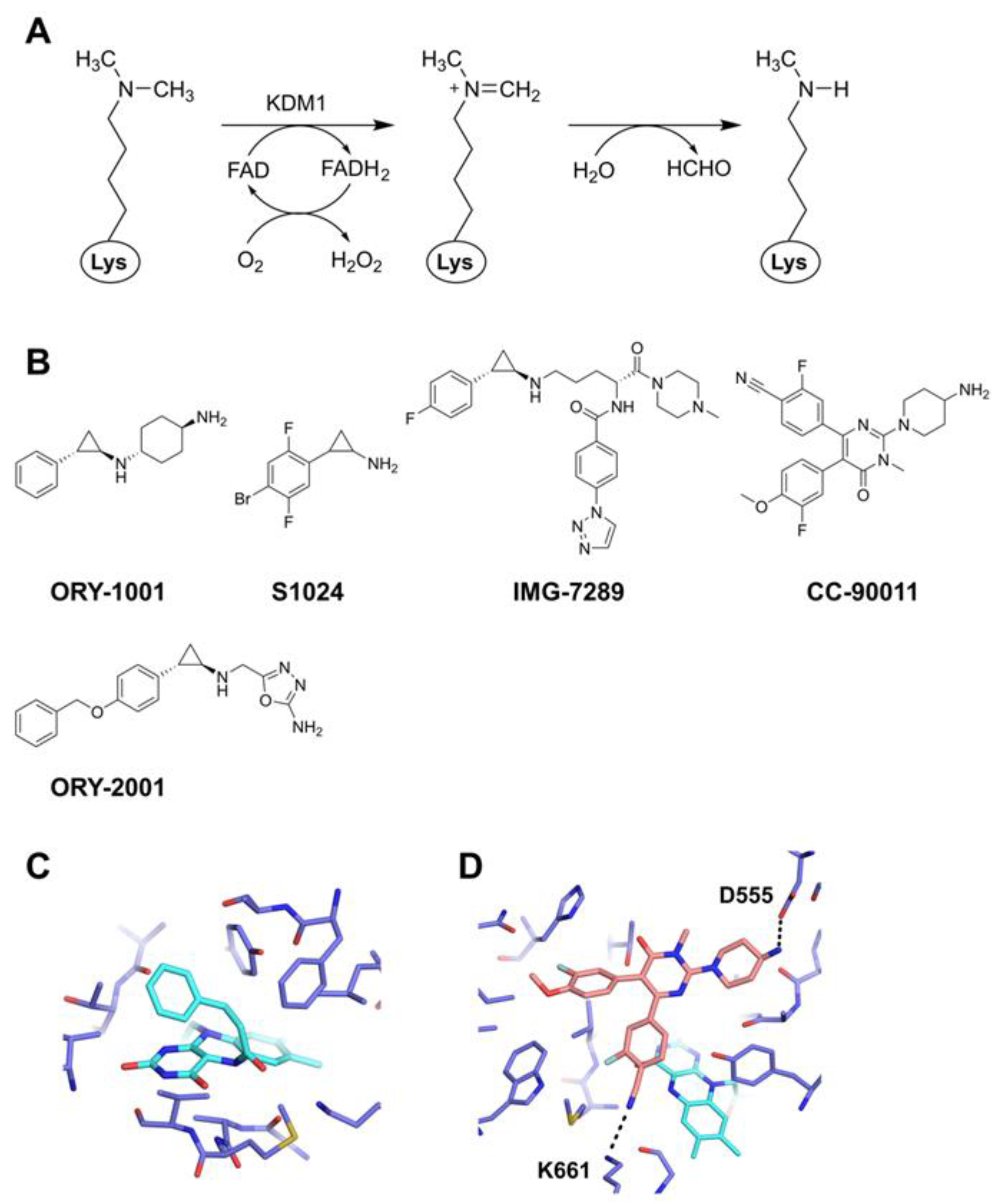 Epigenomes 07 00007 g001